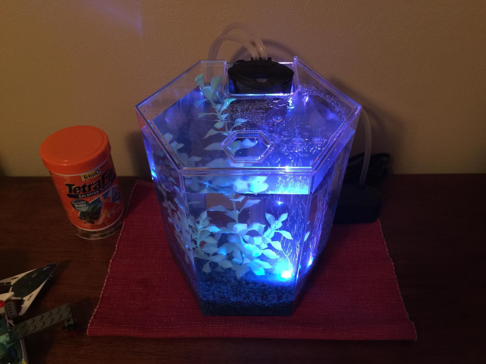 Tetra Bubbling LED 1 Gallon Starter Fish Tank Kit For Freshwater Fish customer photo 2