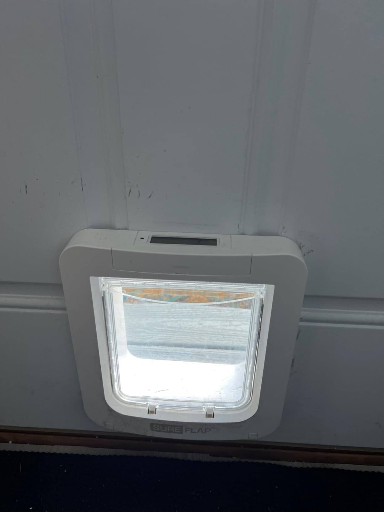 SureFlap-Sure Petcare Microchip Pet Door (White) customer photo 1