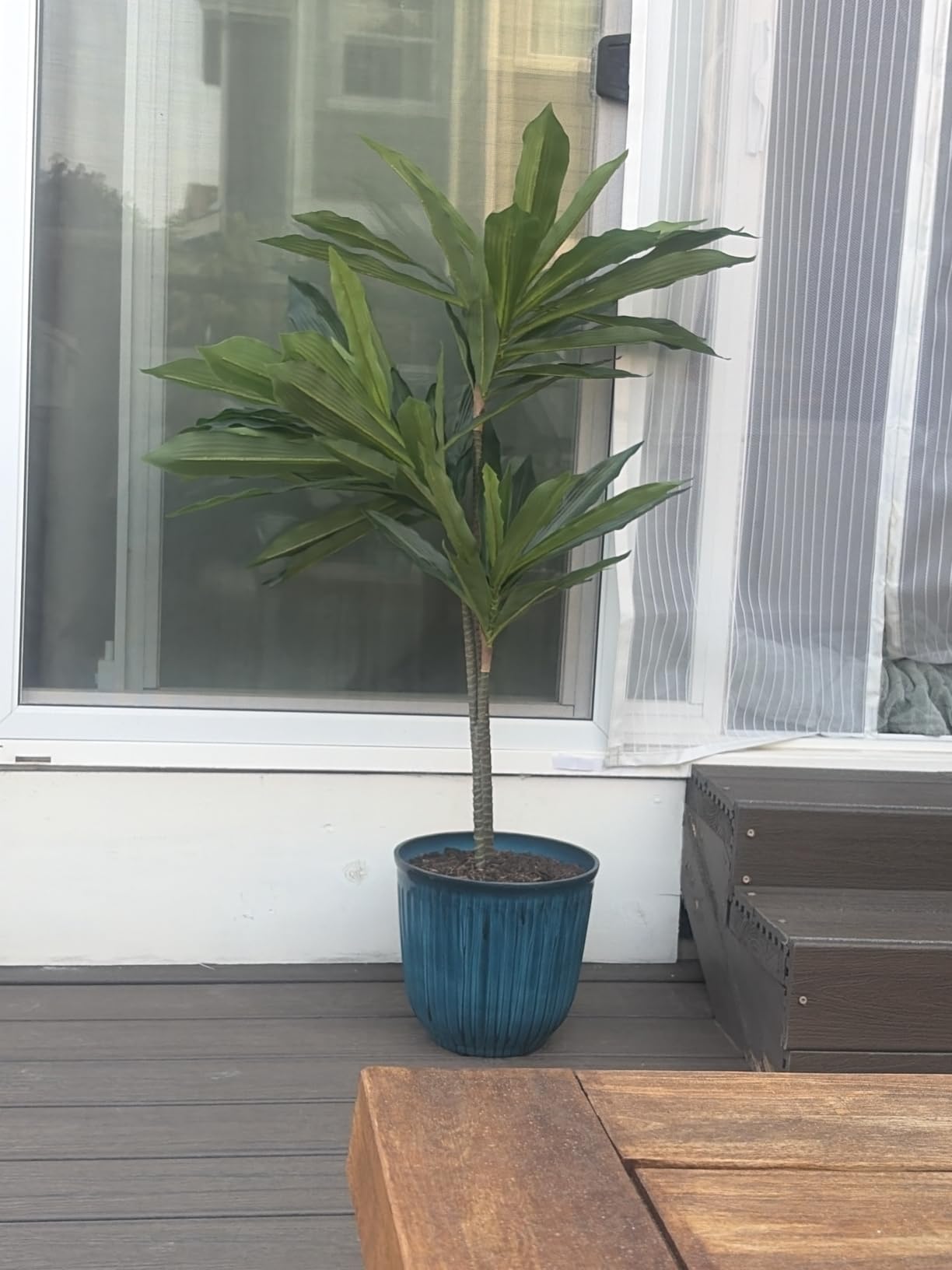 Nearly Natural 48 in Artificial Dracaena Real Touch Plant with Pot | Multi-Tonal Trunks, Large Indoor Silk Plant, Maintenance-Free customer photo 2