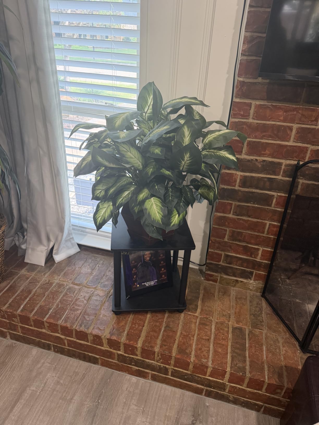 Nearly Natural 24 in Artificial Golden Dieffenbachia Plant with Pot | Variegated Foliage Silk Plant, Modern Hexagon Planter customer photo 1