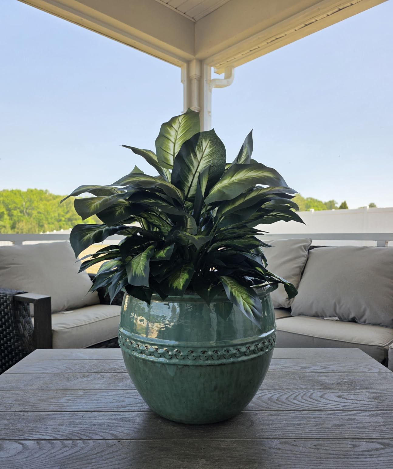 Nearly Natural 24 in Artificial Golden Dieffenbachia Plant with Pot | Variegated Foliage Silk Plant, Modern Hexagon Planter customer photo 2