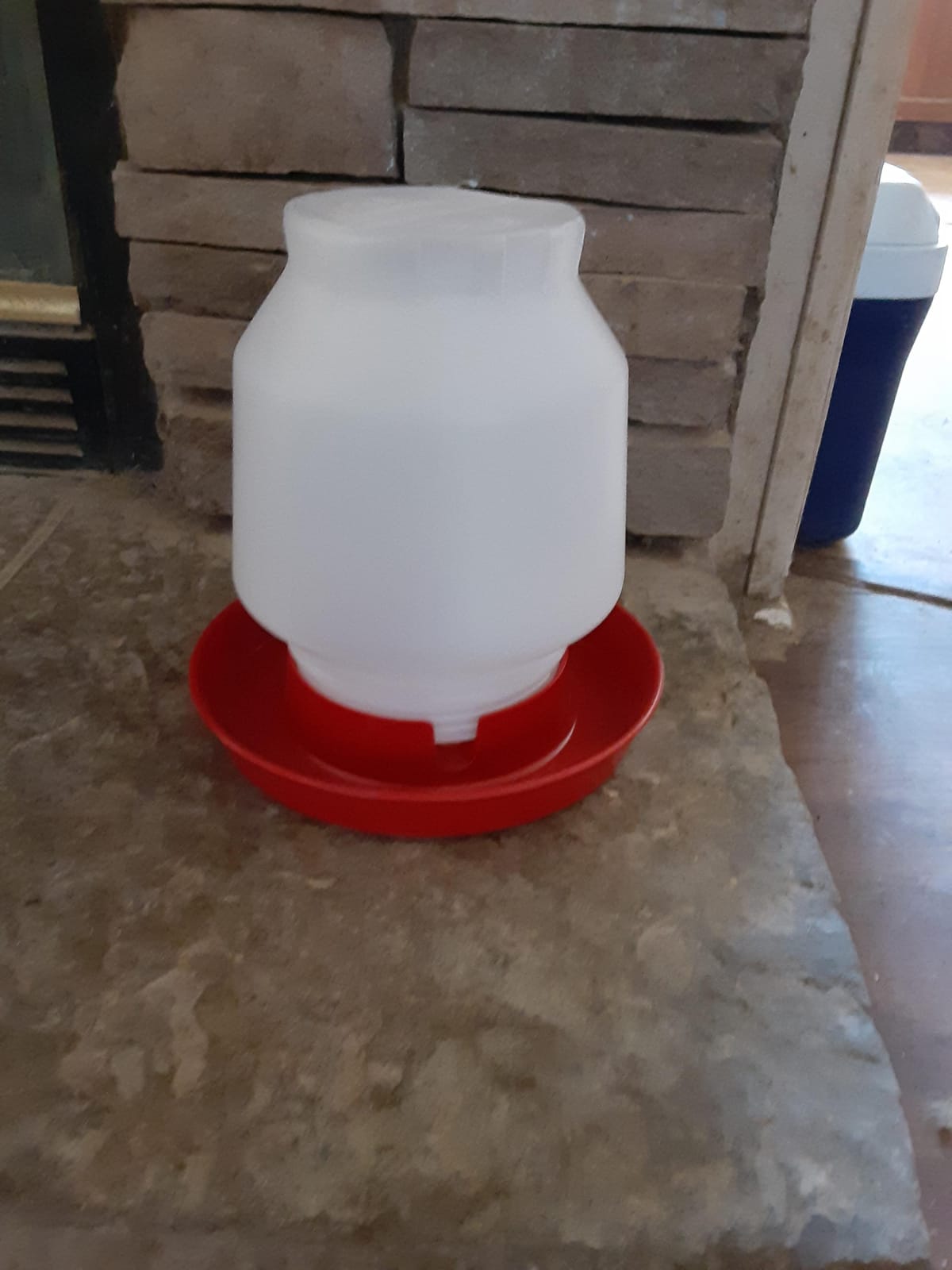 Little Giant Complete Plastic Poultry Fount | Heavy Duty Plastic Gravity Fed Water Container Jar | Waterer for Chickens, Turkeys, Ducks & More | Made in USA | 1 Gallon | Red customer photo 2