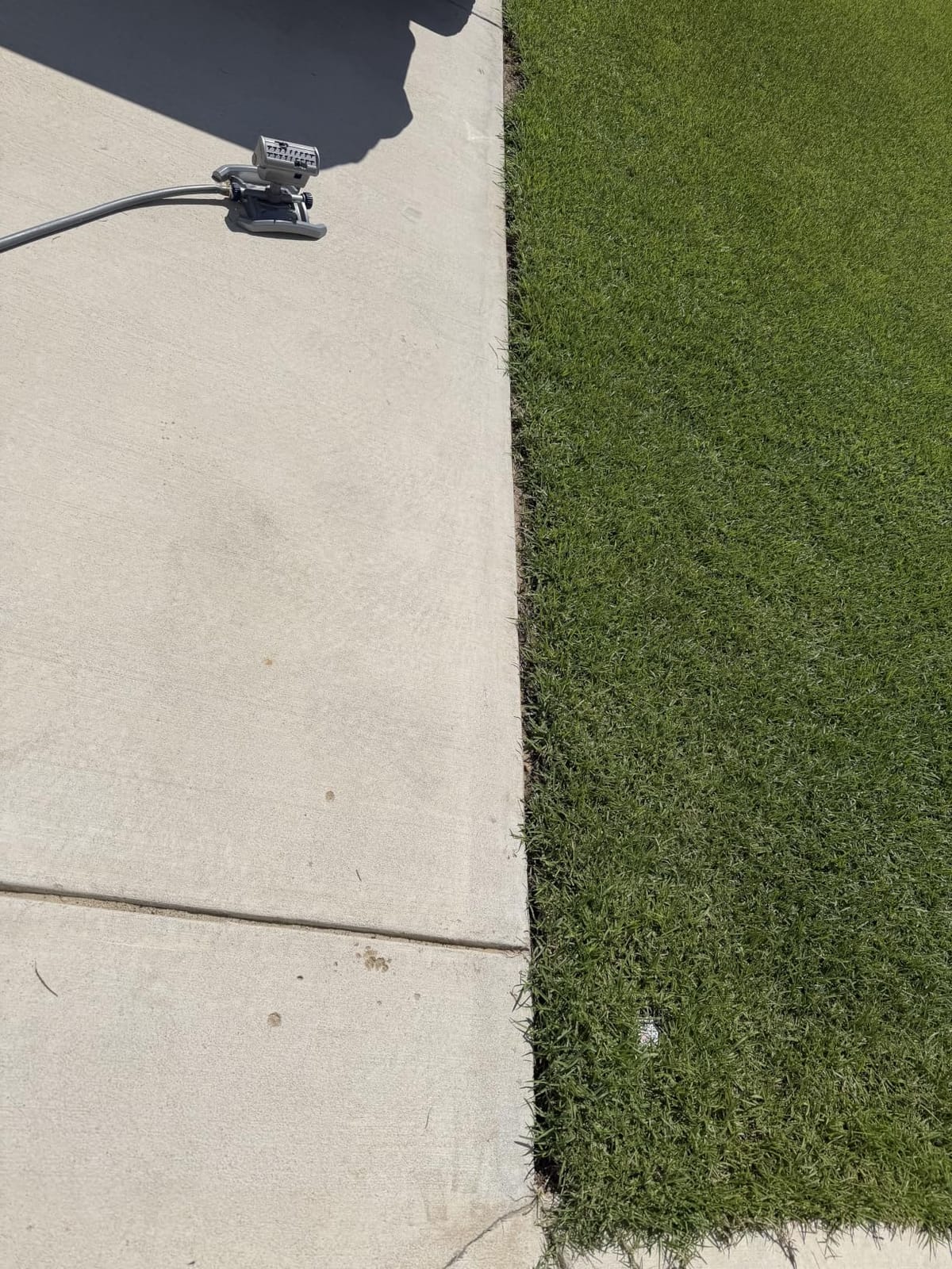WORX 12 Amp 7.5'' Electric Lawn Edger & Trencher | Corded, WG896 customer photo 1