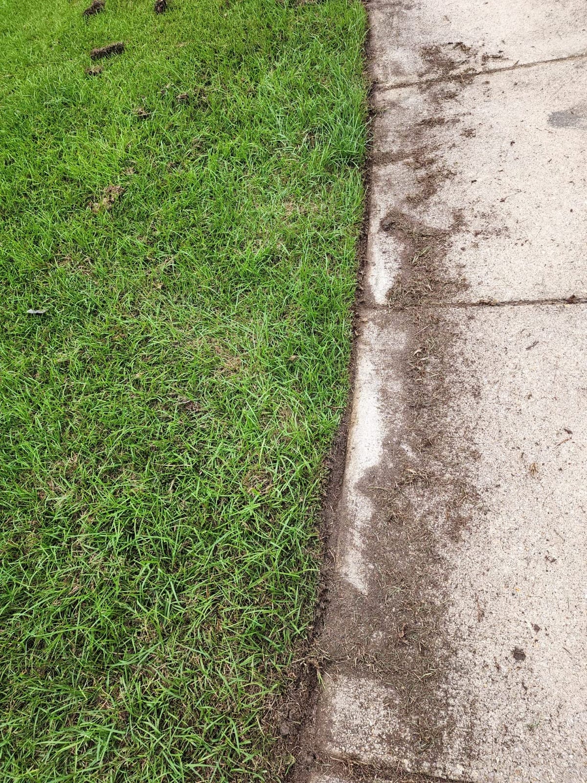 WORX 12 Amp 7.5'' Electric Lawn Edger & Trencher | Corded, WG896 customer photo 2