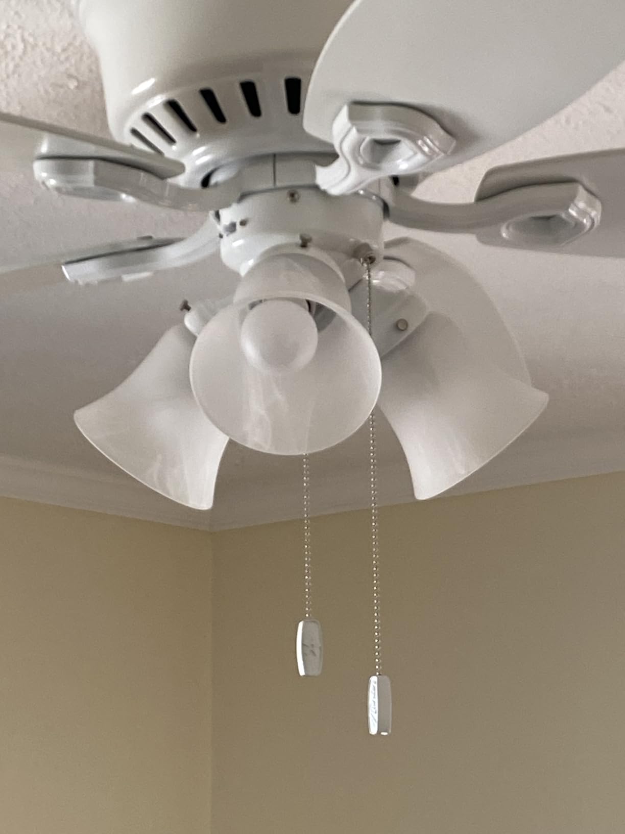 Hunter Builder, Indoor, Ceiling Fan, with LED Lights, 42 inch, Snow White | Low Profile Flush Mount, Pull Chain, 5 Blades, For Bedroom, Living Room, Kitchen, 51090 customer photo 1