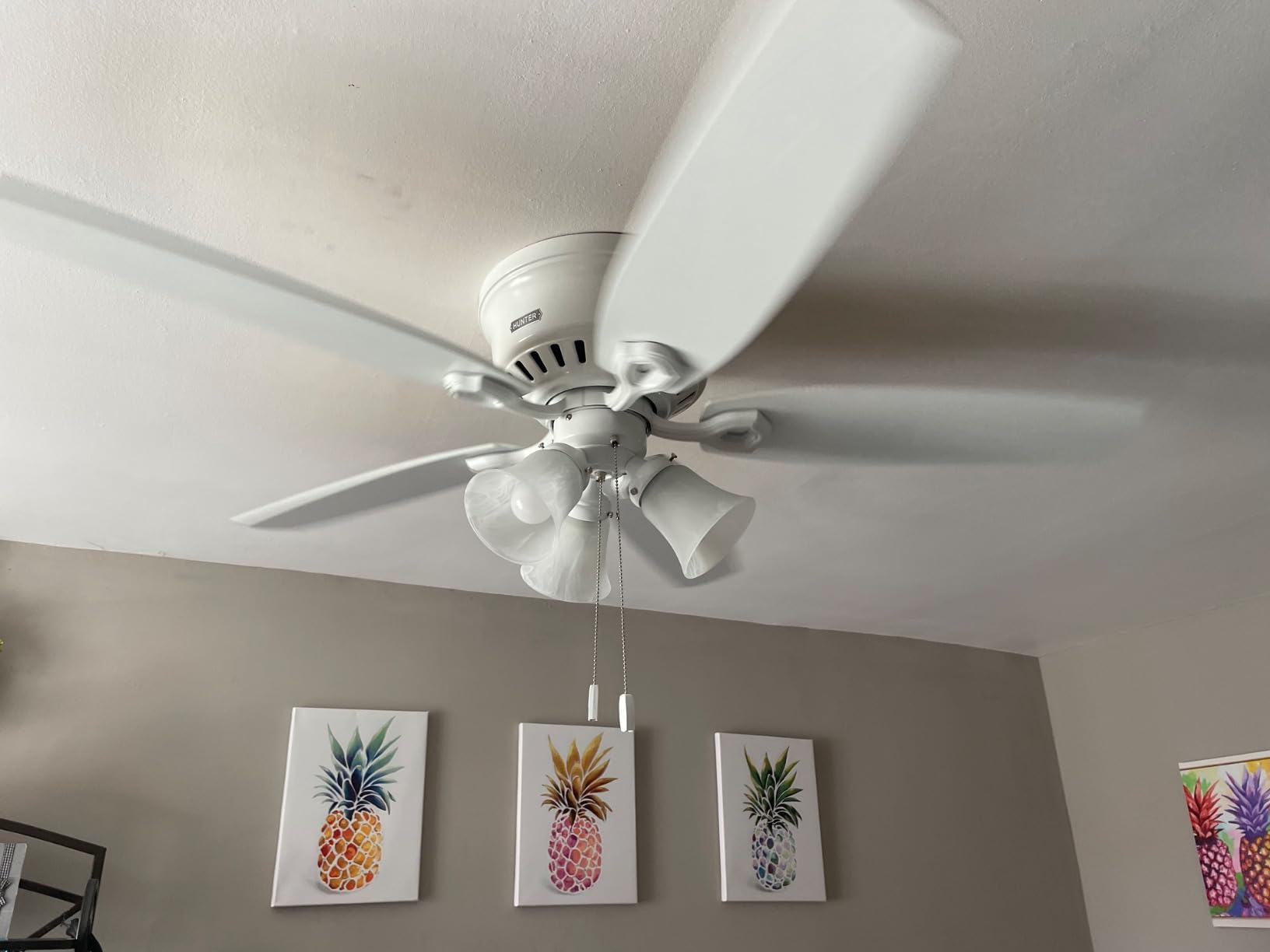 Hunter Builder, Indoor, Ceiling Fan, with LED Lights, 42 inch, Snow White | Low Profile Flush Mount, Pull Chain, 5 Blades, For Bedroom, Living Room, Kitchen, 51090 customer photo 2