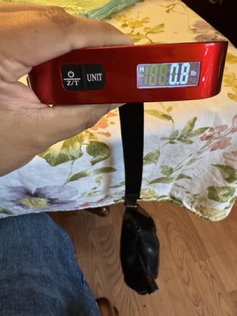 travel inspira Luggage Scale, Portable Digital Hanging Baggage Scale for Travel, Suitcase Weight Scale with Rubber Paint, 110 Pounds, Battery Included customer photo 2