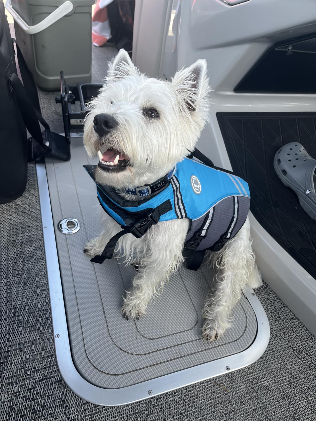 VIVAGLORY Dog Life Vest Sports Style Dog Swim Vest, M, Blue customer photo 1