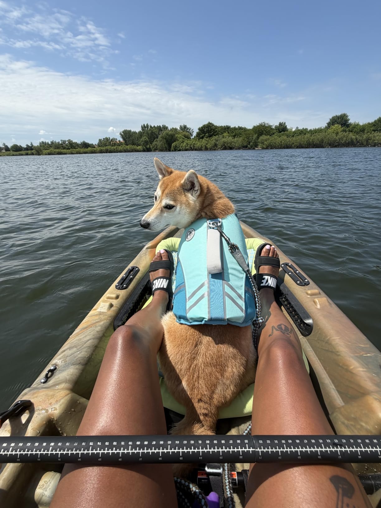VIVAGLORY Dog Life Vest Sports Style Dog Swim Vest, M, Blue customer photo 2