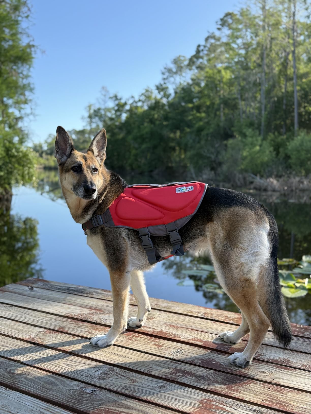 Outward Hound Dawson Swim Dog Life Jacket, Life Vest, Red, Medium | High Buoyancy, Insulating, Adjustable Fit, Rescue Handle, Reflective, Swimming & Boating, Medium Dogs (21-27