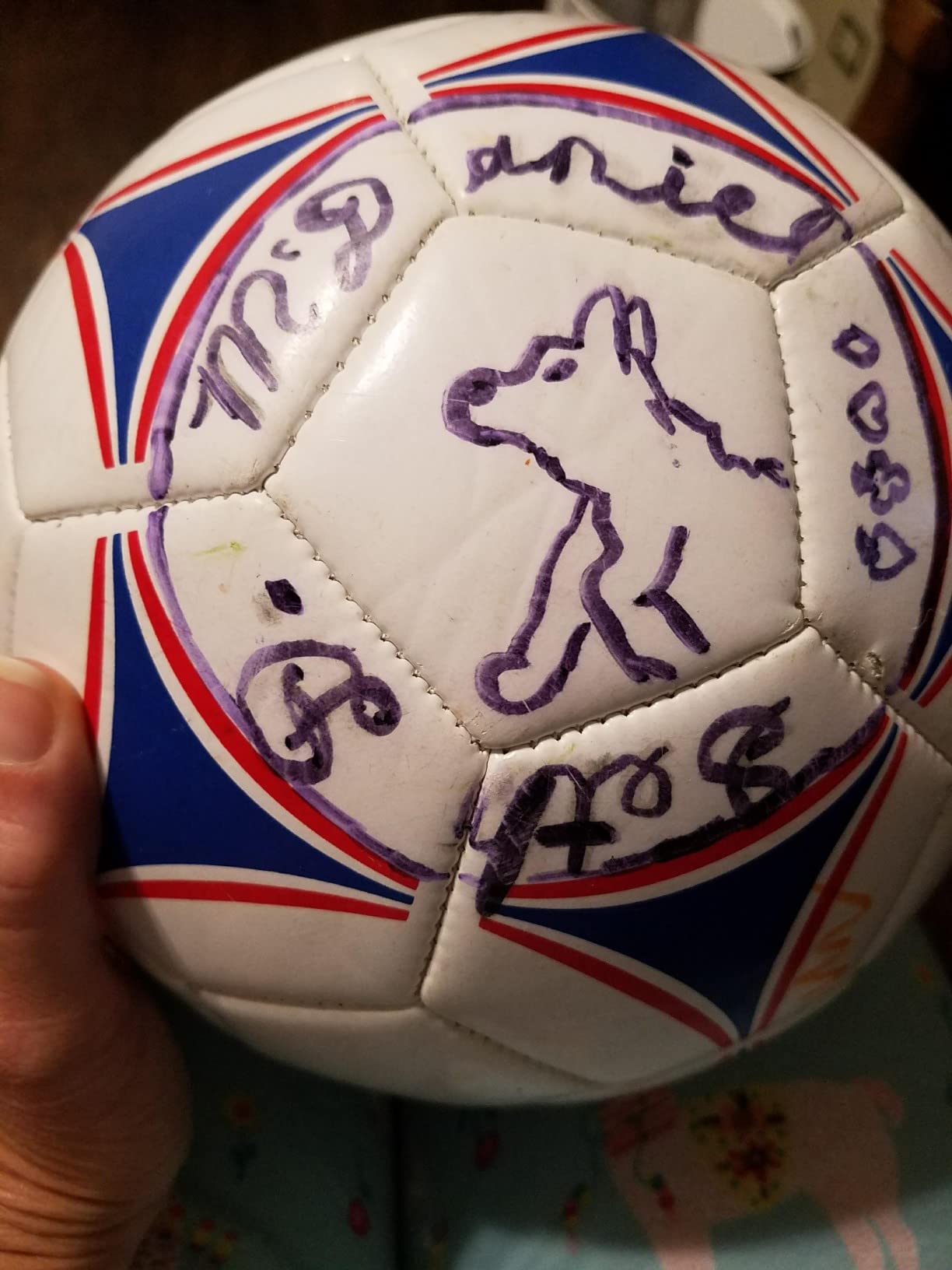 GoSports Premier Soccer Balls - Single or 6 Pack - Sizes 3, 4, 5, with Ball Pump customer photo 1