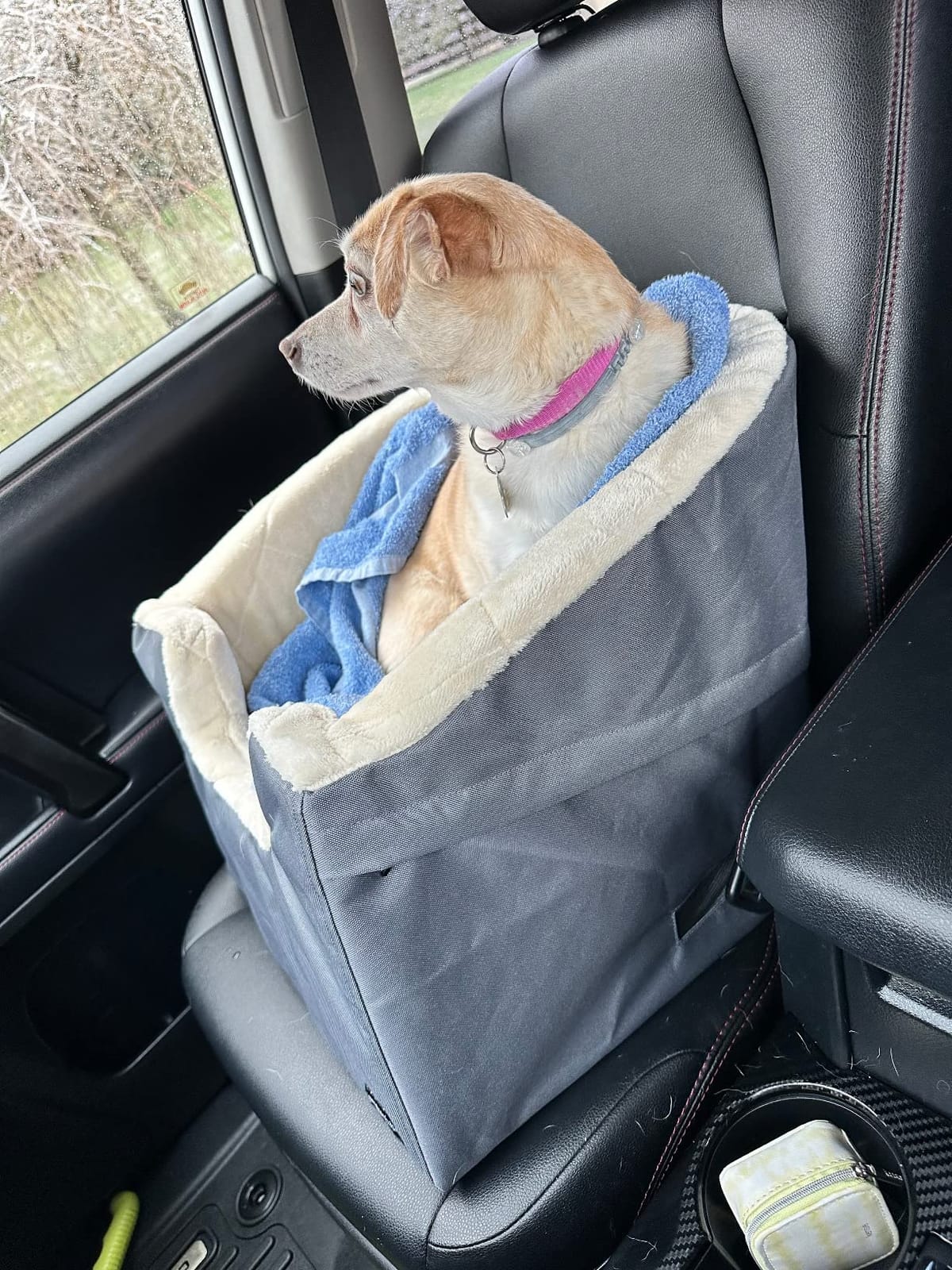 Amazon Basics Dog Car Seat Booster for Small Dogs up to 25lbs, Washable Removable Cover, Safety Leash, Elevated View for Window, 18
