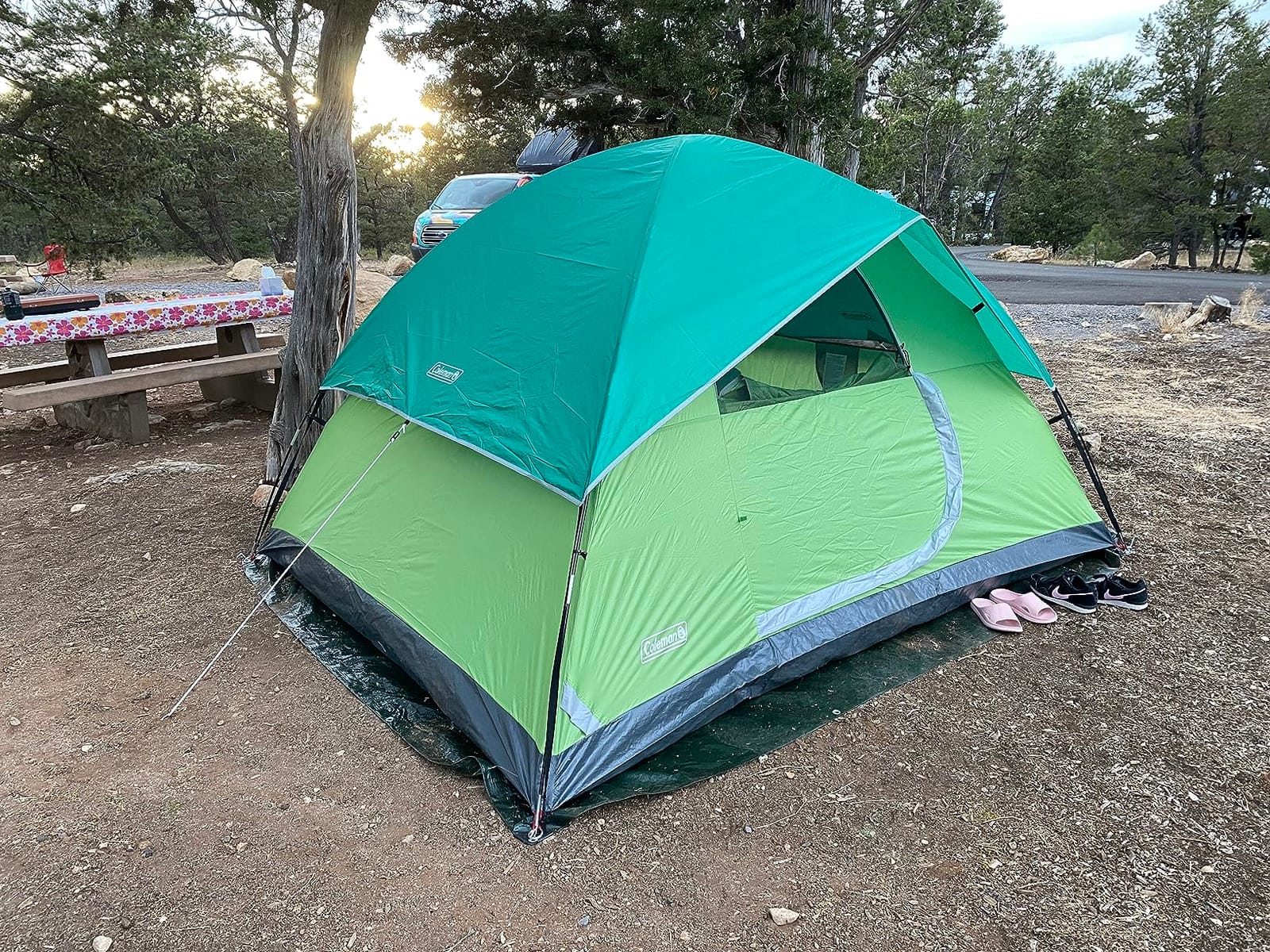Amazon Basics Waterproof Multipurpose Camping Tarp with Reinforced Corners and Edges, Protective Cover, 9.5 x 11.3 Feet, Dark Green customer photo 2