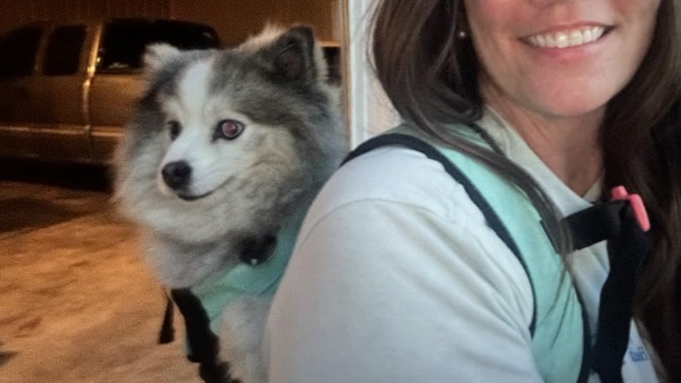 K9 Sport Sack Air 2 - Large, Summer Mint - Durable, Breathable Backpack-Style Carrier customer photo 1