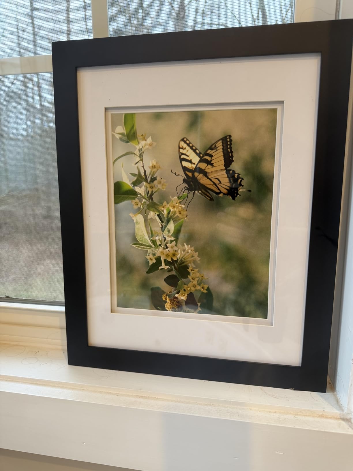 Gallery Solutions 8x10 Flat Walnut Frame - Rectangular Tabletop or Wall Mount - For 5x7 Pictures - Premium Walnut Wood with Double White Mat customer photo 1