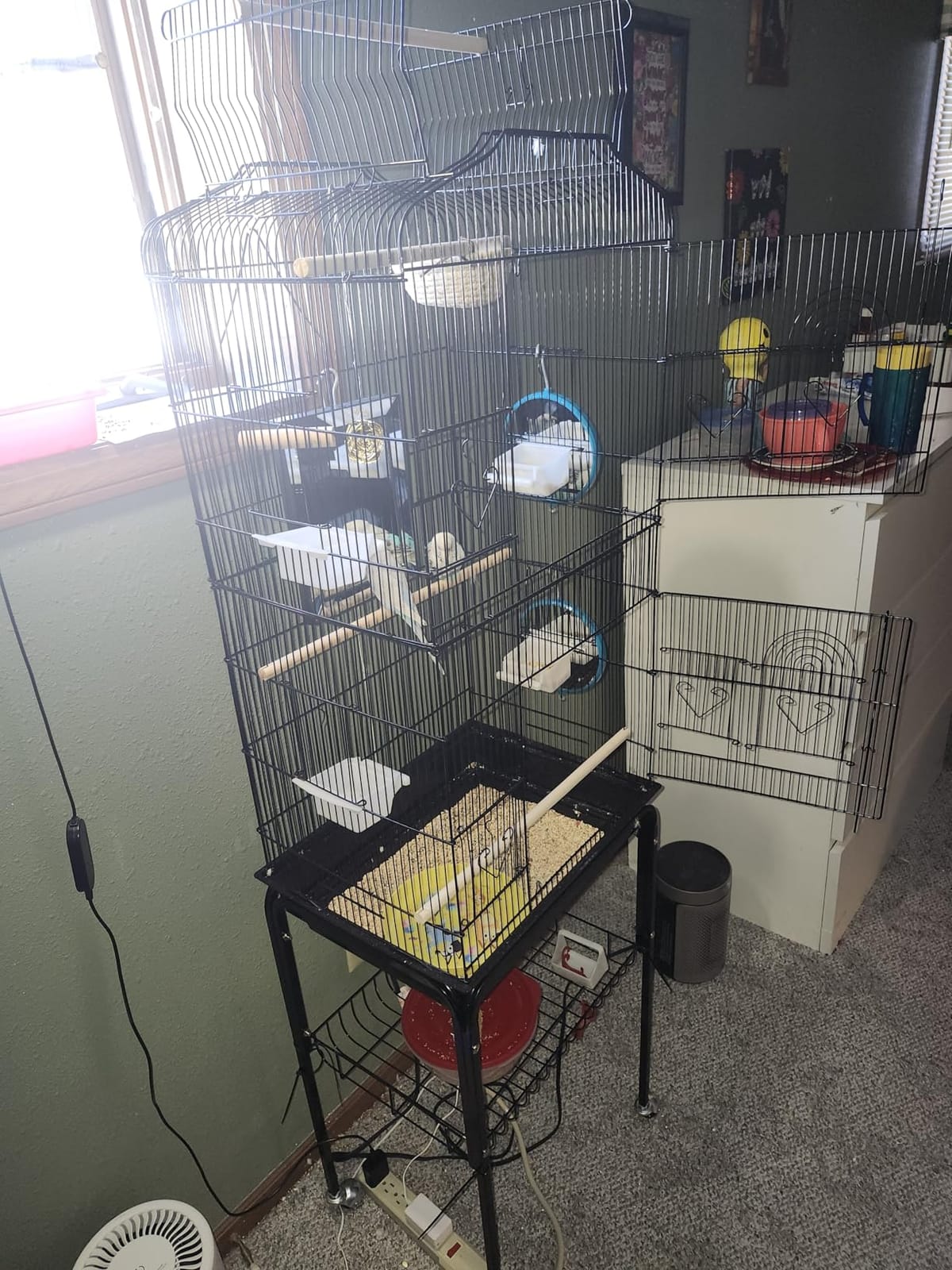Yaheetech 64'' Open Top Bird Cage for Parakeets & Cockatiels, Black | Detachable Rolling Stand, Easy-clean Slide Tray, Multi-door Access, 3/8