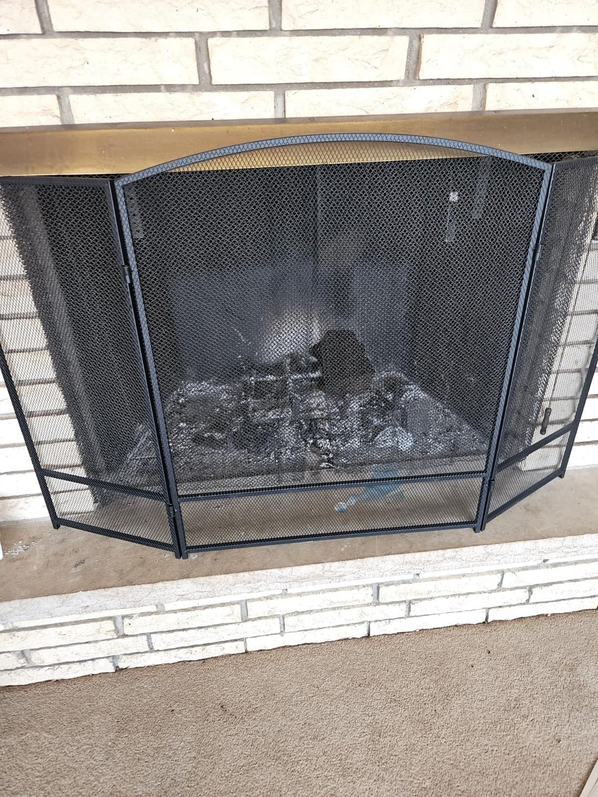 Best Choice Products 47.5x27.25in 3-Panel Simple Steel Mesh Fireplace Screen, Fire Spark Guard Grate for Living Room Home Decor w/Rustic Worn Finish - Black customer photo 1