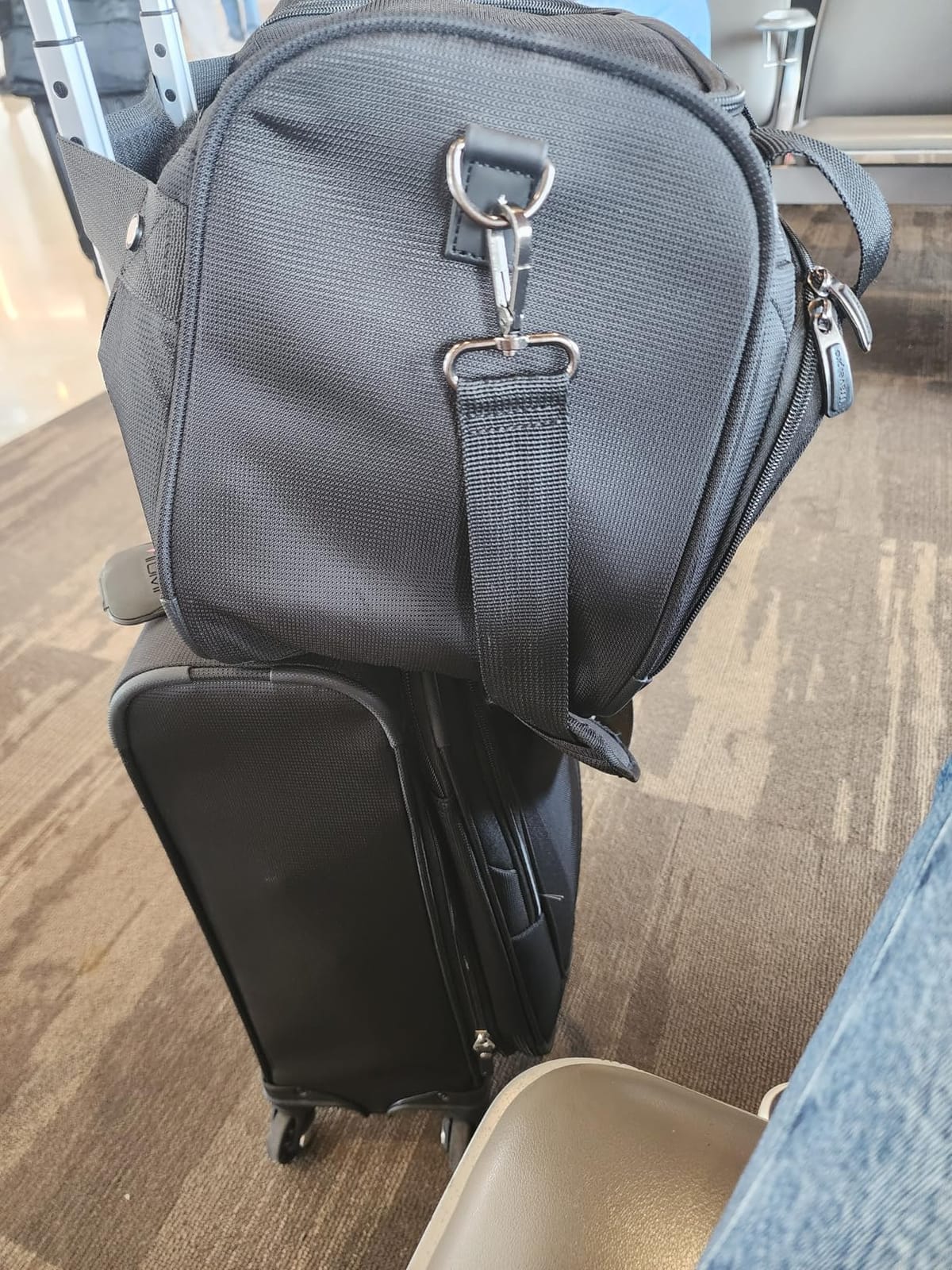 Travelpro Maxlite 5 Softside Expandable Luggage with 4 Spinner Wheels, Lightweight Suitcase, Men and Women, Black, Checked-Large 29-Inch customer photo 1