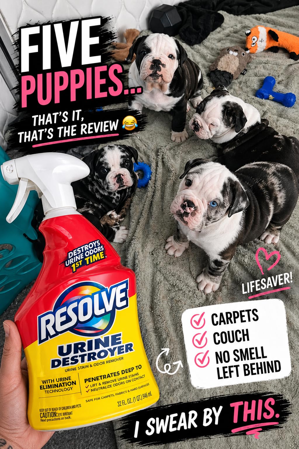 Resolve Urine Destroyer Spray - Pet Stain and Odor Remover, Carpet Cleaner Solution for Cat and Dog Urine, 32 Fl Oz customer photo 2