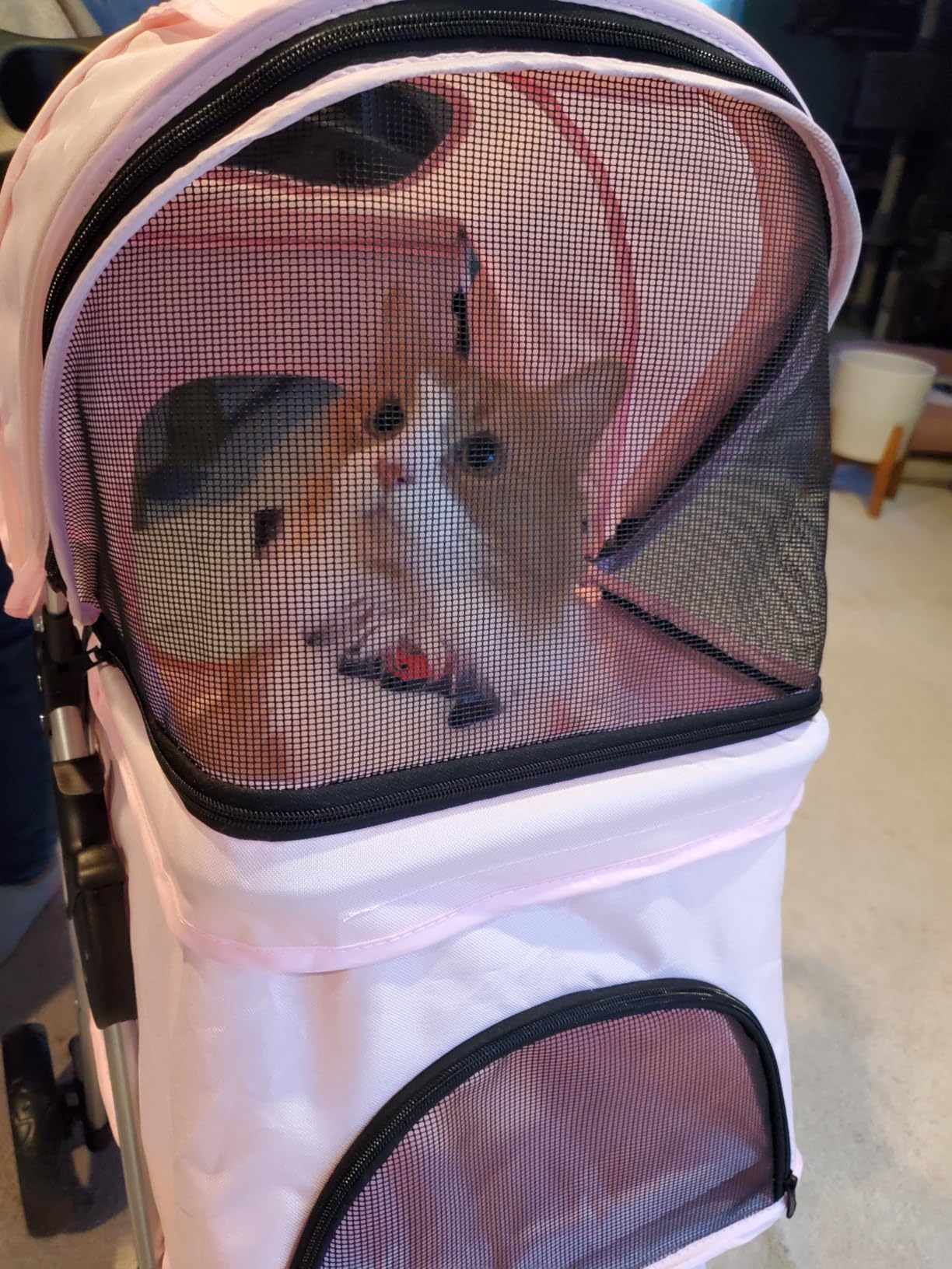 TRIXIE Foldable Pet Stroller for Cats and Dogs, Pet Carrier Strolling Cart with Weather Cover, Storage Basket, Cup Holder - Lightweight, Compact and Portable customer photo 1