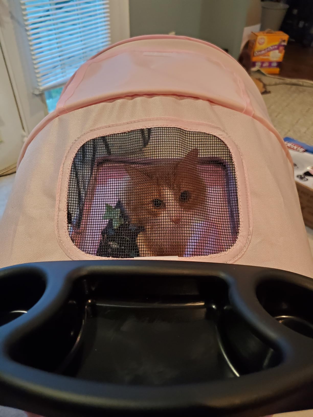 TRIXIE Foldable Pet Stroller for Cats and Dogs, Pet Carrier Strolling Cart with Weather Cover, Storage Basket, Cup Holder - Lightweight, Compact and Portable customer photo 2