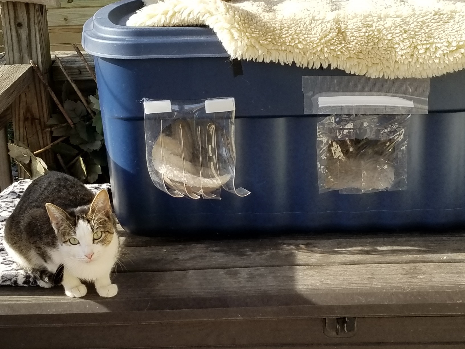Roughneck Tote 18 Gal, 6 Pack, Made in USA, Dark Indigo Metallic, Rugged Plastic Stackable Storage Bins customer photo 2