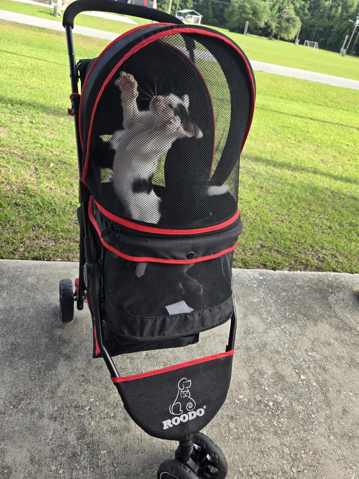 ROODO Escort 3 Wheel Dog Cat Pet Stroller for Small/Medium Dogs Cats Best Lightweight Foldable Portable Compact Jogger All Terrain Travel Pet Gear System Puppy Doggie Bunny Kitty Stroller(Grey) customer photo 2