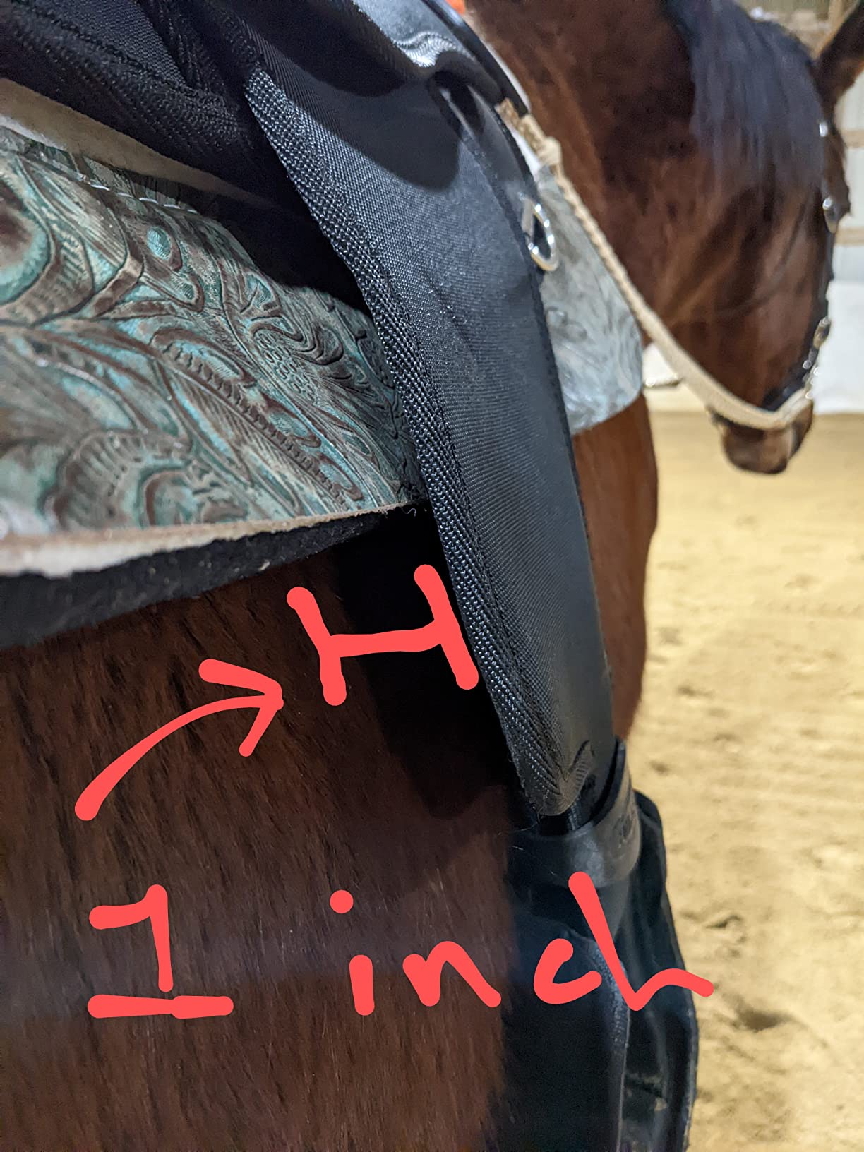 Southwestern Equine OrthoRide Made in USA Premium All Wool Build up, Saddle Pad Western, Classic Contour Saddle Pad, Ortho Pad Horse Saddle Pad, Saddle Blanket, 30x30 & 31x32 customer photo 1