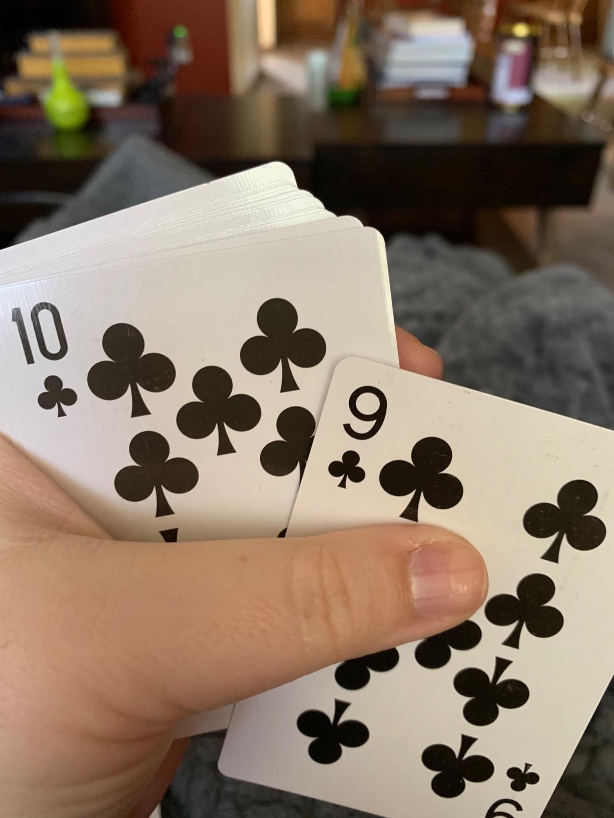 Brybelly Euchre Card Game - 2 Specialty Decks Pre-Stripped for Classic American Euchre or 6-Player Variant - Custom Bower Jacks & Blank Counter Cards Included customer photo 1