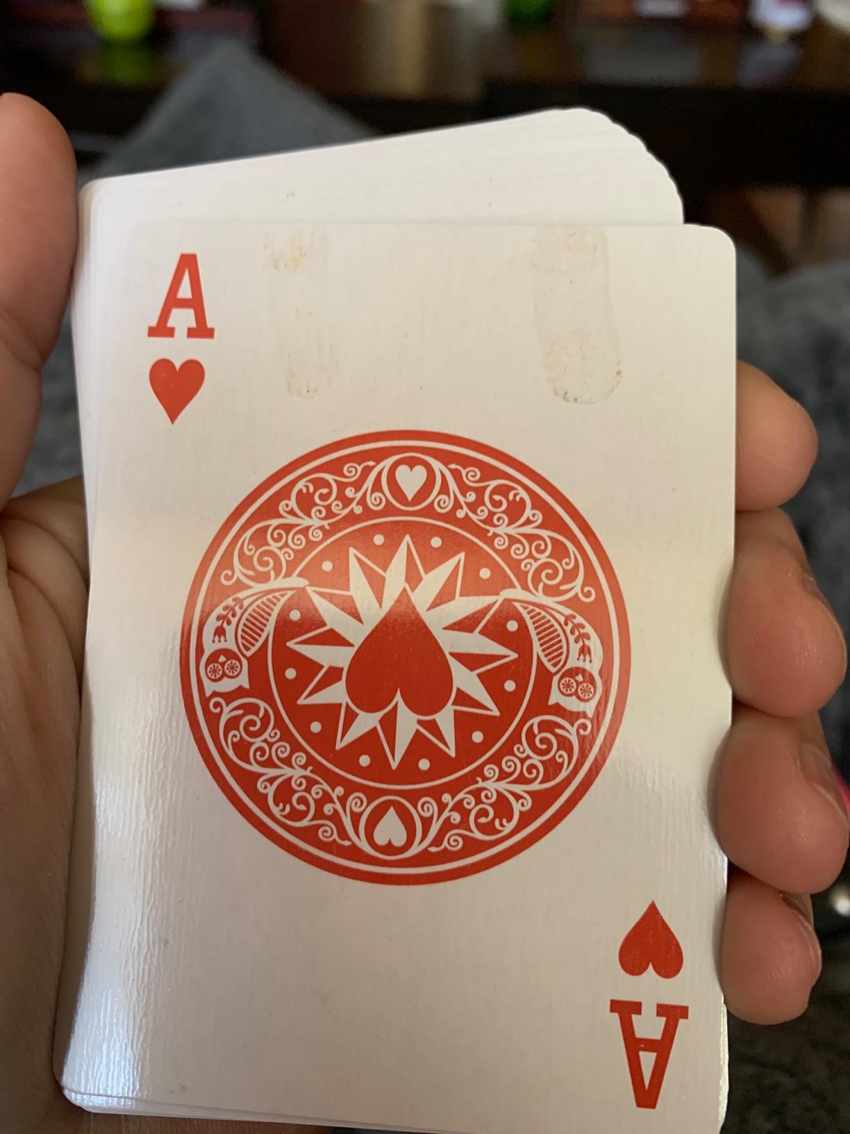 Brybelly Euchre Card Game - 2 Specialty Decks Pre-Stripped for Classic American Euchre or 6-Player Variant - Custom Bower Jacks & Blank Counter Cards Included customer photo 2