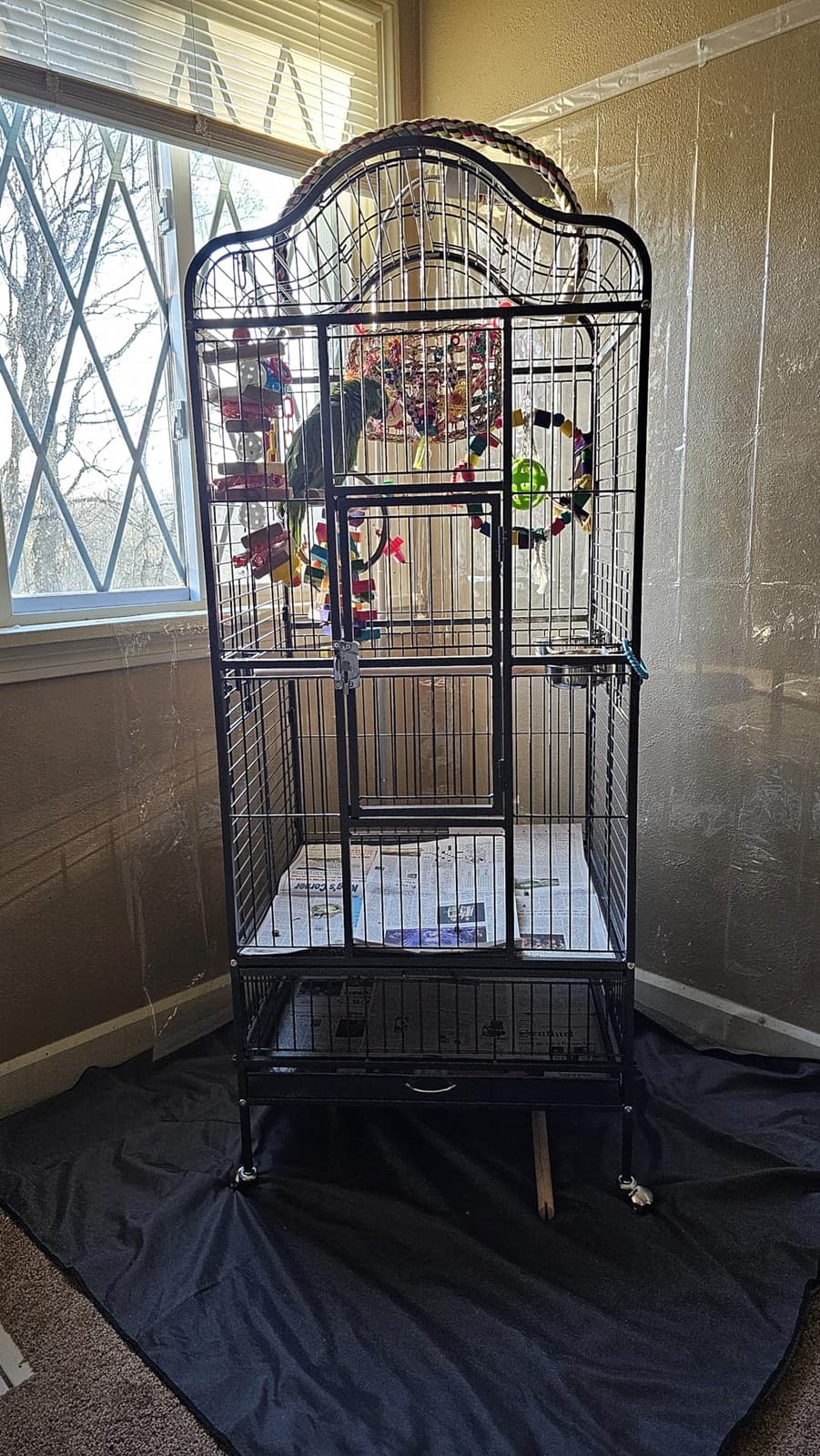 Yaheetech 63'' Bird Cage with Stand Wrought Iron Rolling Open Play Top Large Bird Cage for Mini Macaw African Grey Amazon Parrot customer photo 1