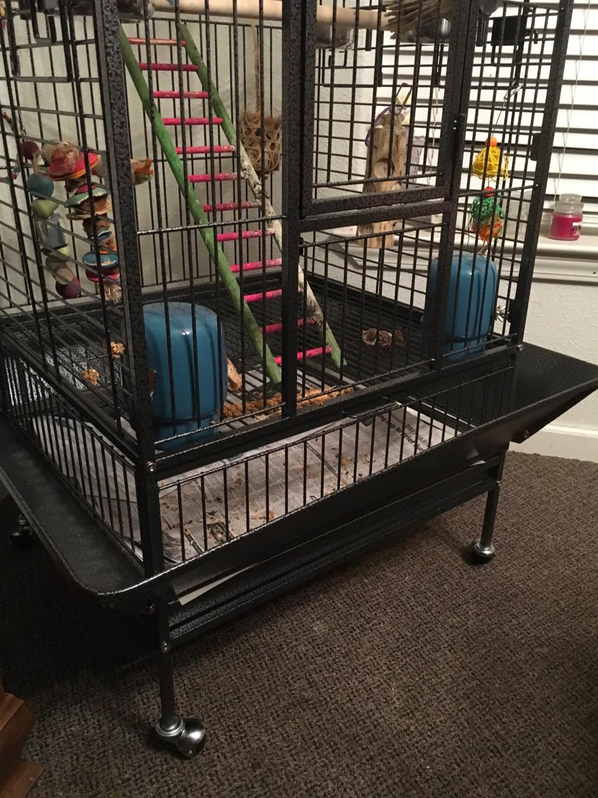 Yaheetech 63'' Bird Cage with Stand Wrought Iron Rolling Open Play Top Large Bird Cage for Mini Macaw African Grey Amazon Parrot customer photo 2