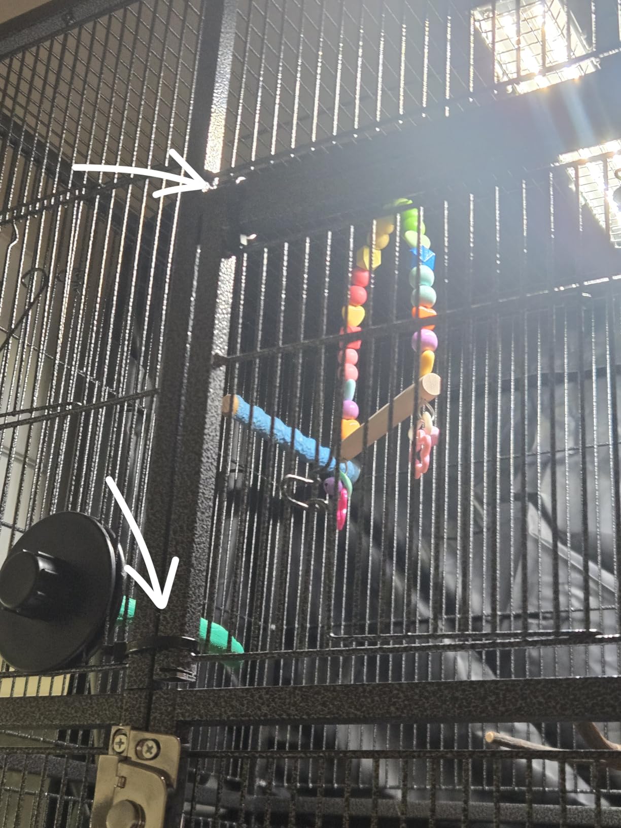 Yaheetech 63-Inch Wrought Iron Rolling Large Bird Cage for African Grey Small Quaker Amazon Parrots Canary Bird Flight Cage customer photo 1