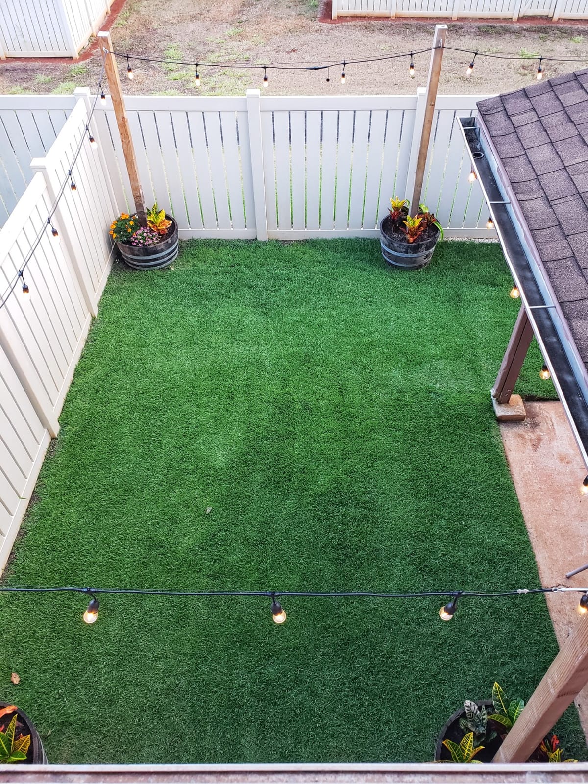Simple Lawn Solutions - Ryan Knorr - Lawn Essentials Bundle Box - 6 Piece Set- Lawn Food 16-4-8 NPK, Lawn Energizer Booster, Root Hume- Humic Acid, Soil Hume- Seaweed, Humic Acid (32 Ounce Bundle) customer photo 1