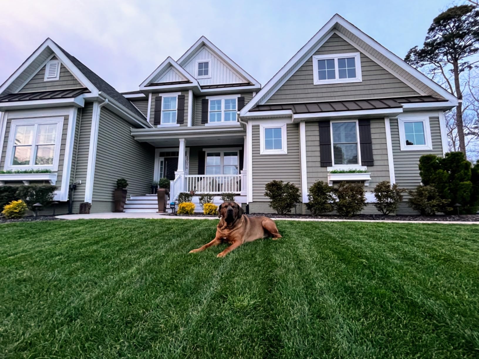 Simple Lawn Solutions - Ryan Knorr - Lawn Essentials Bundle Box - 6 Piece Set- Lawn Food 16-4-8 NPK, Lawn Energizer Booster, Root Hume- Humic Acid, Soil Hume- Seaweed, Humic Acid (32 Ounce Bundle) customer photo 2