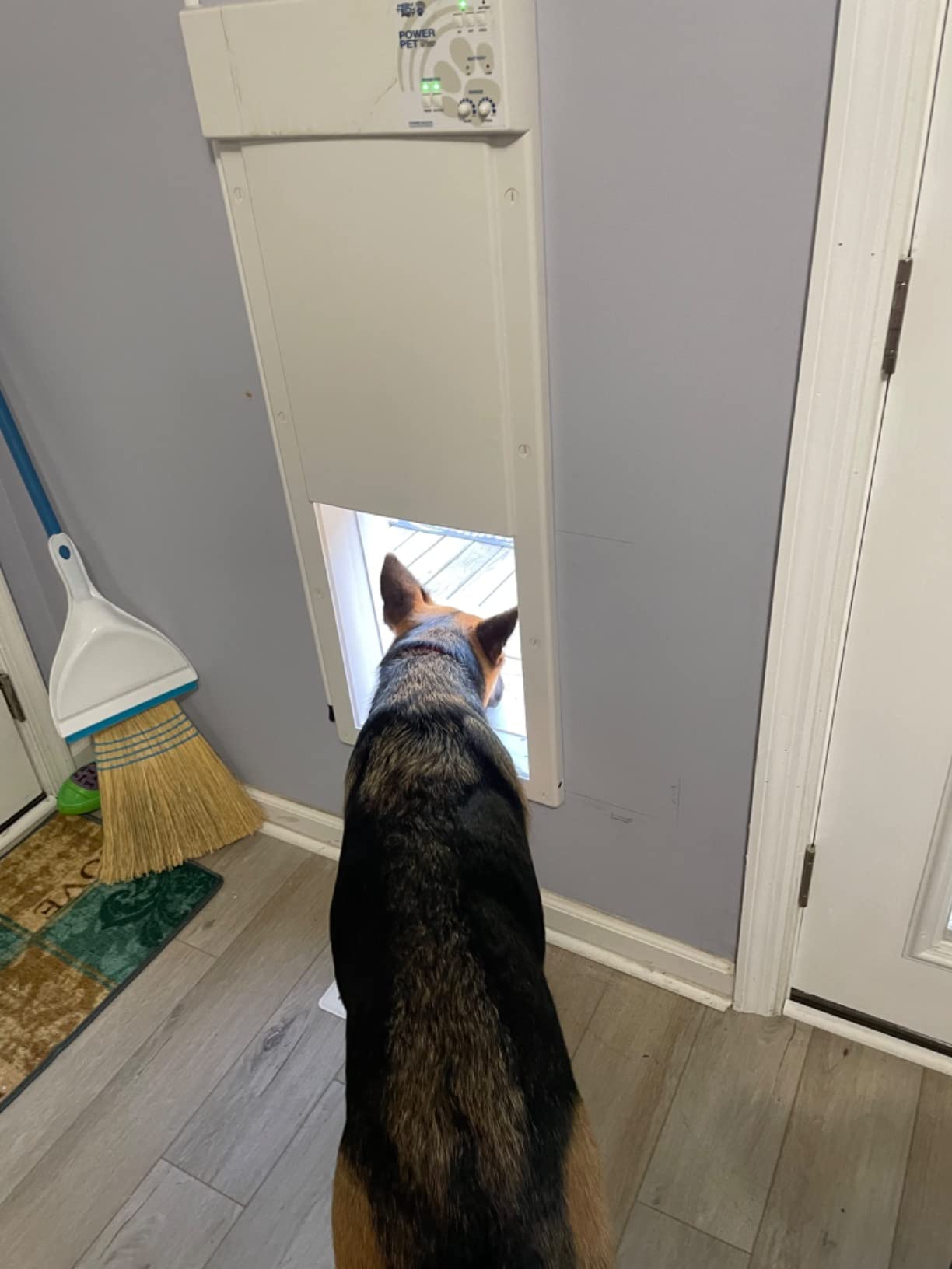 Power Pet Automatic Electronic Pet Door by High Tech Pet - Pet Operated Dog Door, High Security, Air Tight, for Large-Sized Dogs 30-100 lbs. (12 1/4