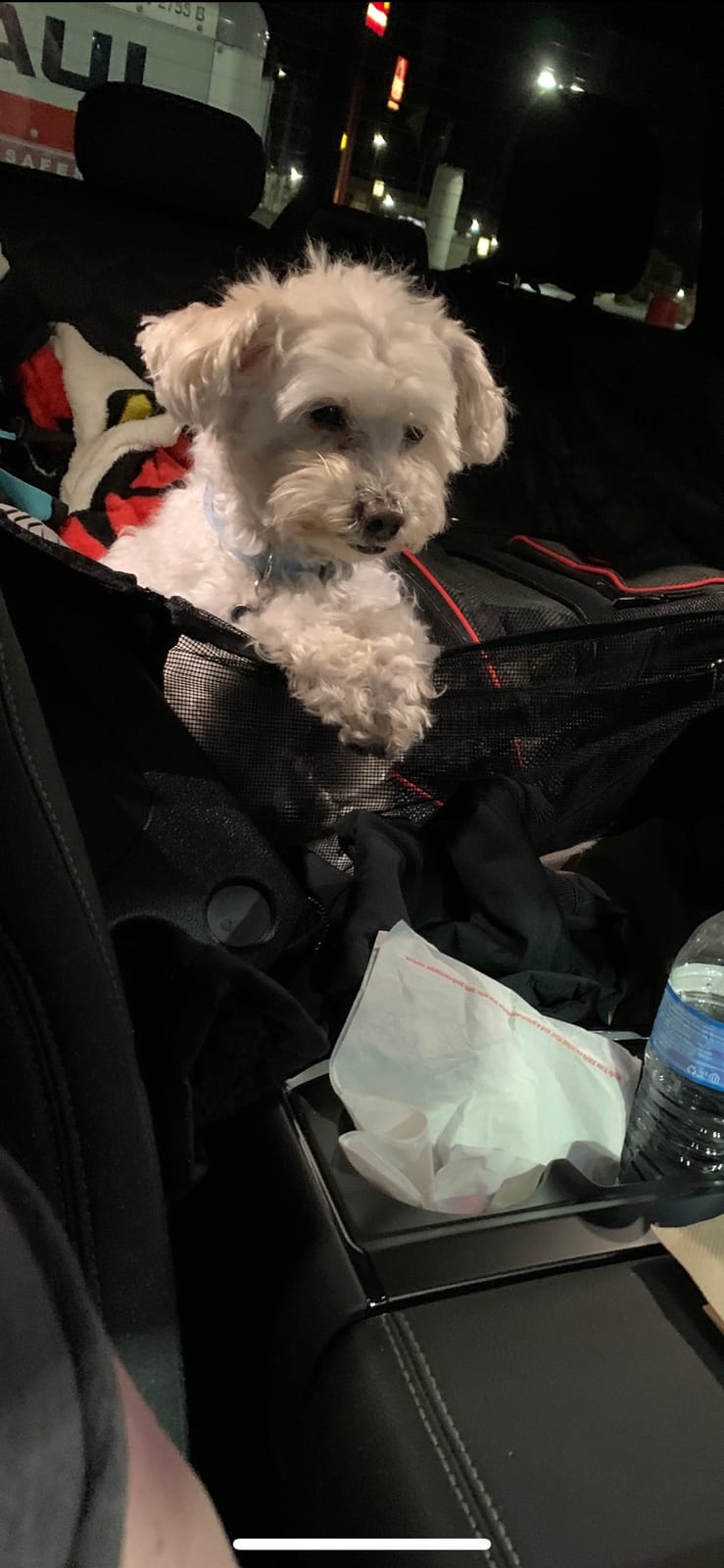 PETICON Dog Car Seat Cover for Back Seat, Dog Hammock for Cars/Trucks/SUVs | Zippered Design Allows Passenger Seat Access, Waterproof & Scratchproof 600D Pet Seat Cover, Mesh Window for Pet Visibility customer photo 1