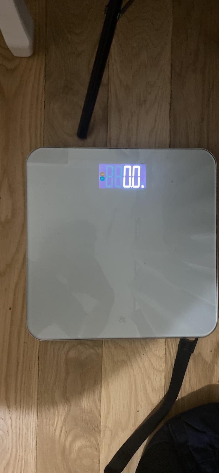 Greater Goods AccuCheck Digital Bathroom Scale for Body Weight (Pearl Gray) | Accurate Weight Scale with Double-Check Tech, Large High-Contrast Backlit Display, 400lb Capacity, Easy to Read, Auto-Step On customer photo 1