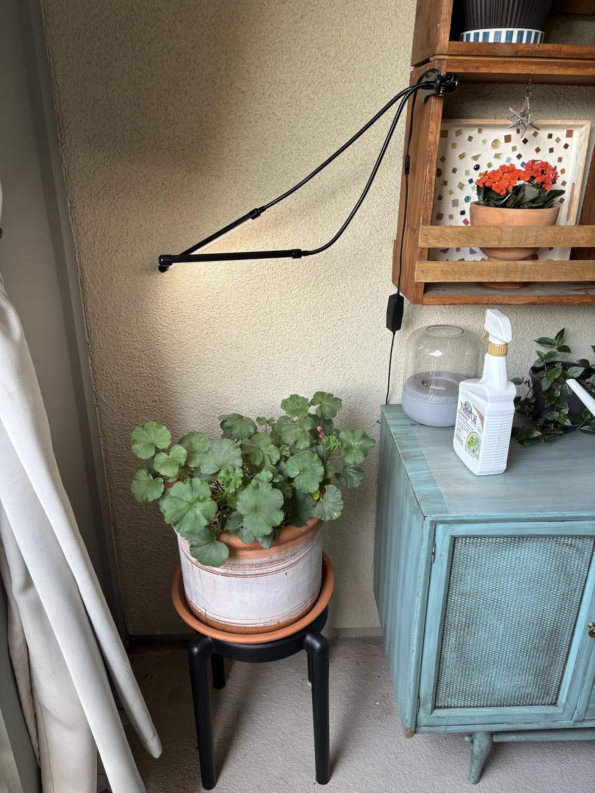 GooingTop Grow Light,6000K Full Spectrum Indoor Plant Growing Lamp customer photo 2