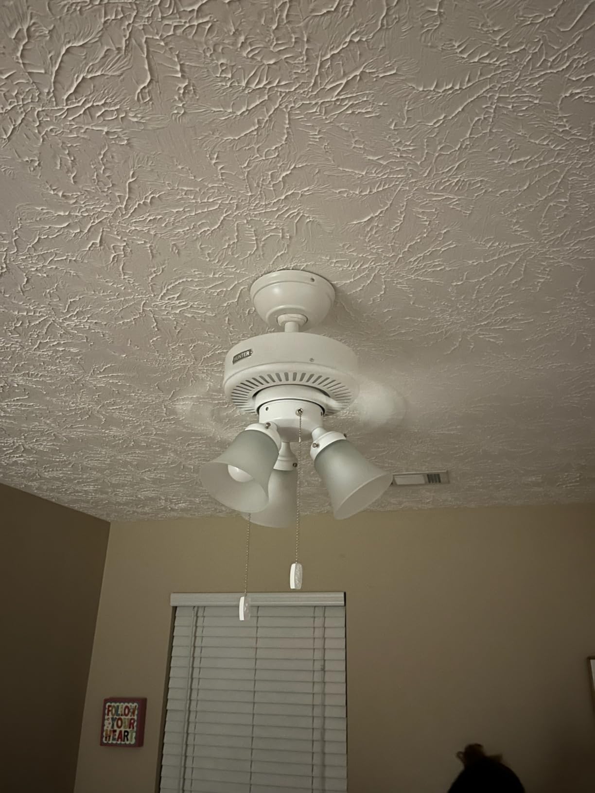Hunter Swanson, Indoor, Ceiling Fan, with LED Lights, 44 inch, Fresh White | Standard Mount, Pull Chain, 5 Blades, For Bedroom, Living Room, Kitchen, 50885 customer photo 1