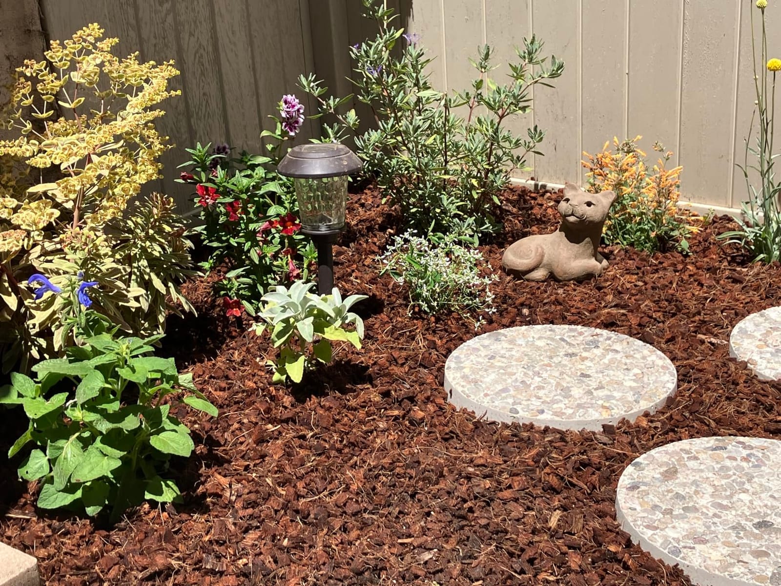 Coco Chips Mulch Brick (10lbs) - 100% Organic Mulch Medium for Garden Beds, Landscaping, & Outdoor Plants - Compressed Coconut Husk Chips - Retains Moisture in Potting Soil & Containers customer photo 2