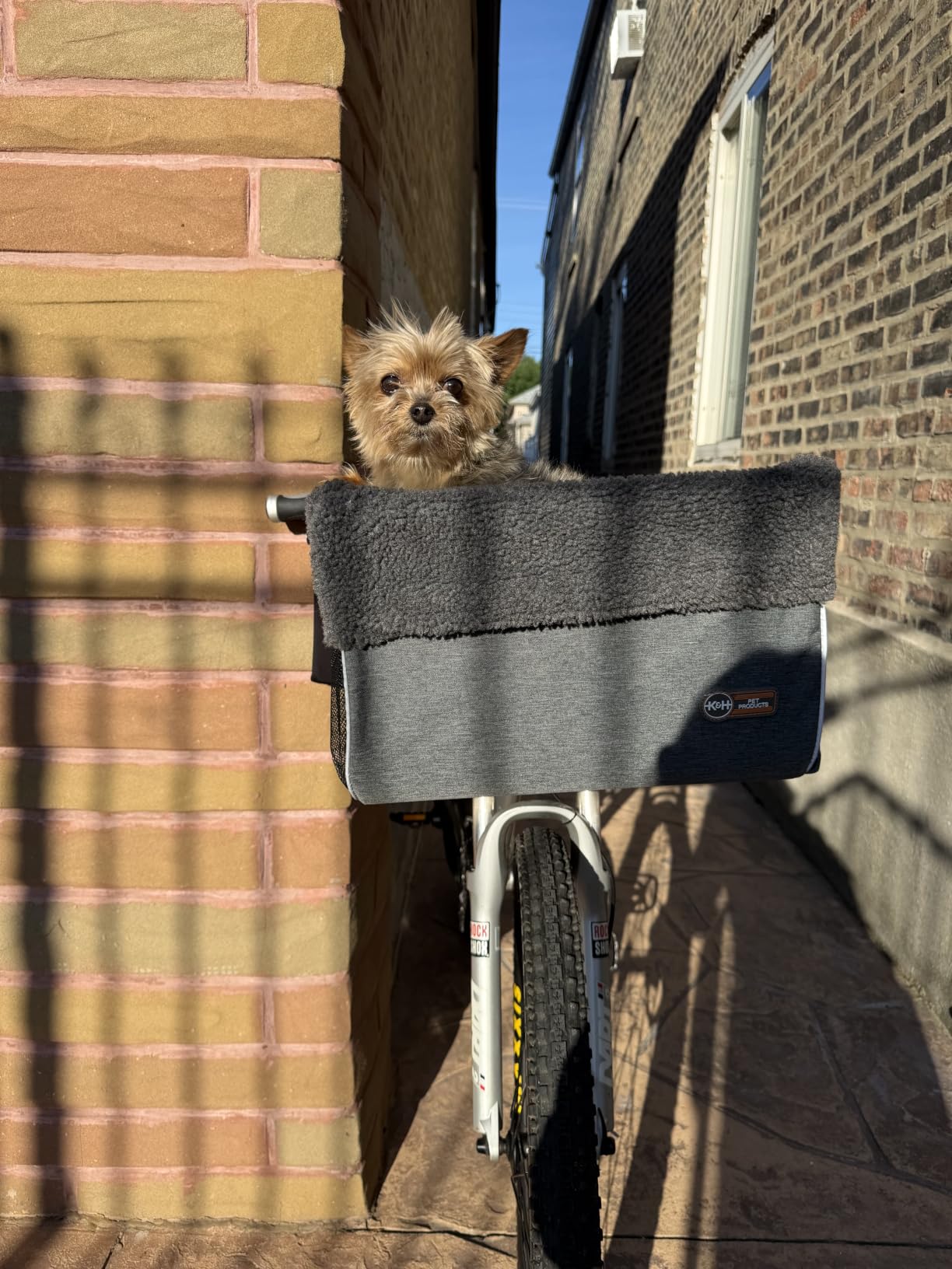 K&H Dog Bike Basket, Travel Bicycle Basket for Pets, Front Mount, 16x12x10 | Cat & Small Dog Carrier for Bike with Safety Leash, Soft Fleece Washable Liner, Heavy Duty Metal Frame customer photo 2