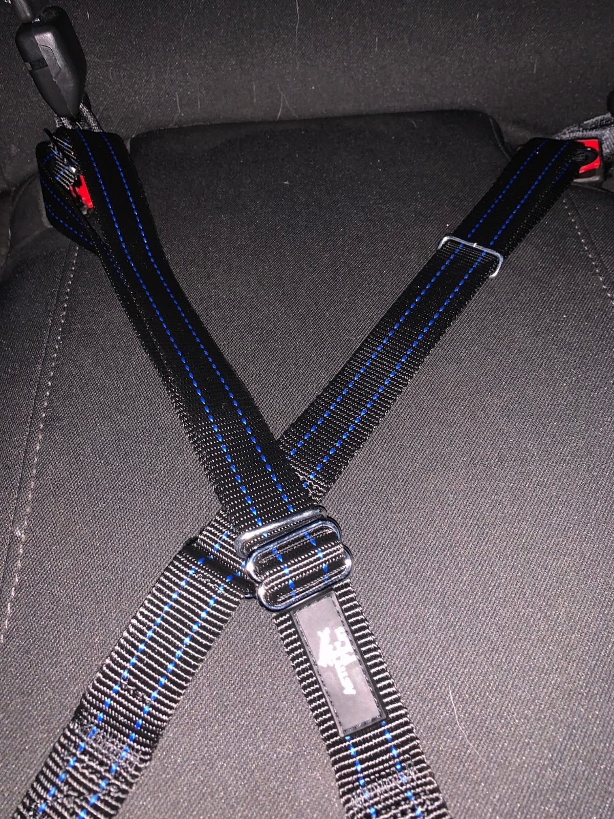 Black Car Seat Belt for Dogs, Attaches to Harness & Collar, Adjustable 18