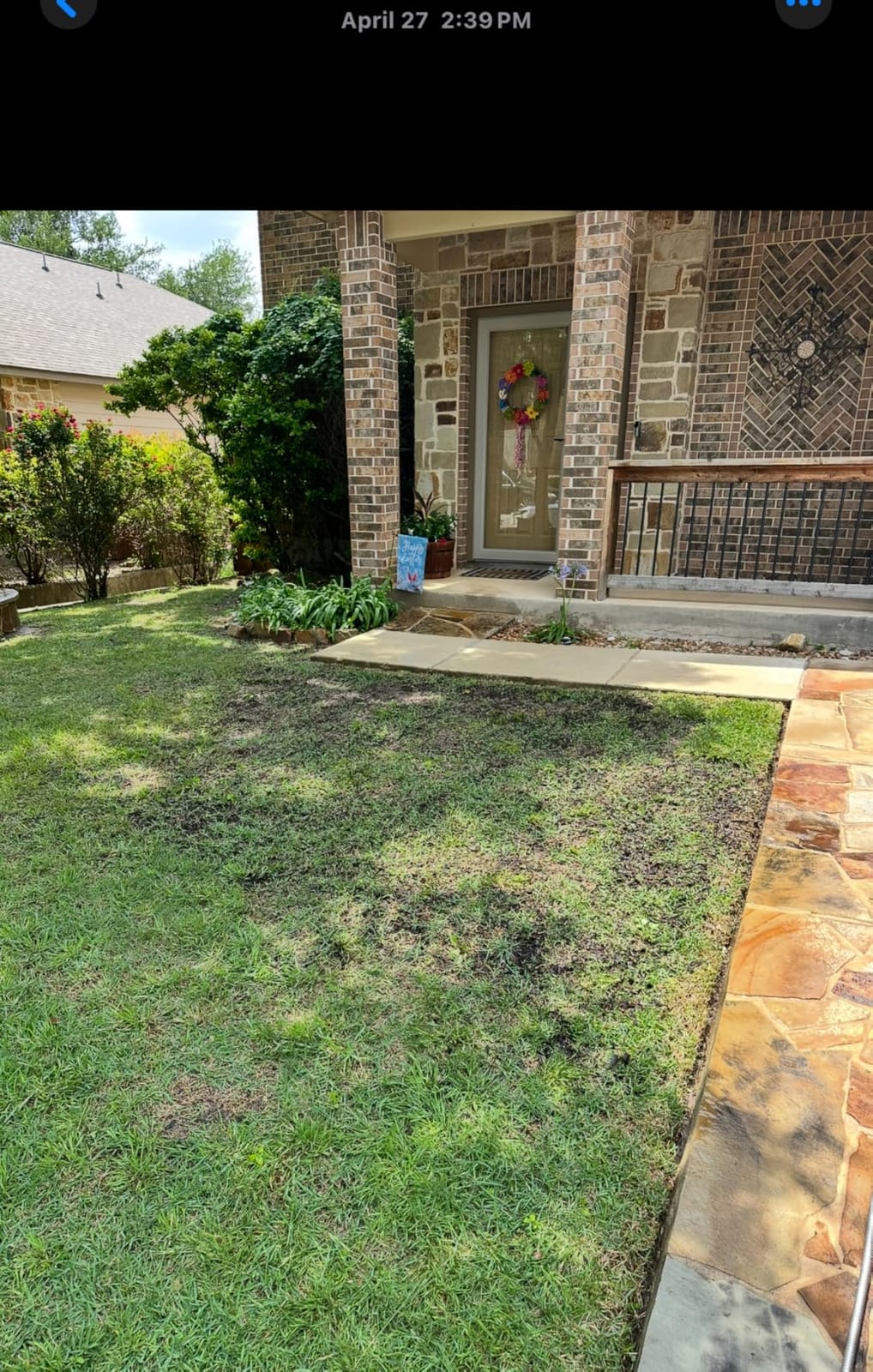 Scotts Turf Builder Rapid Grass Tall Fescue Mix, 5.6 lbs. customer photo 2