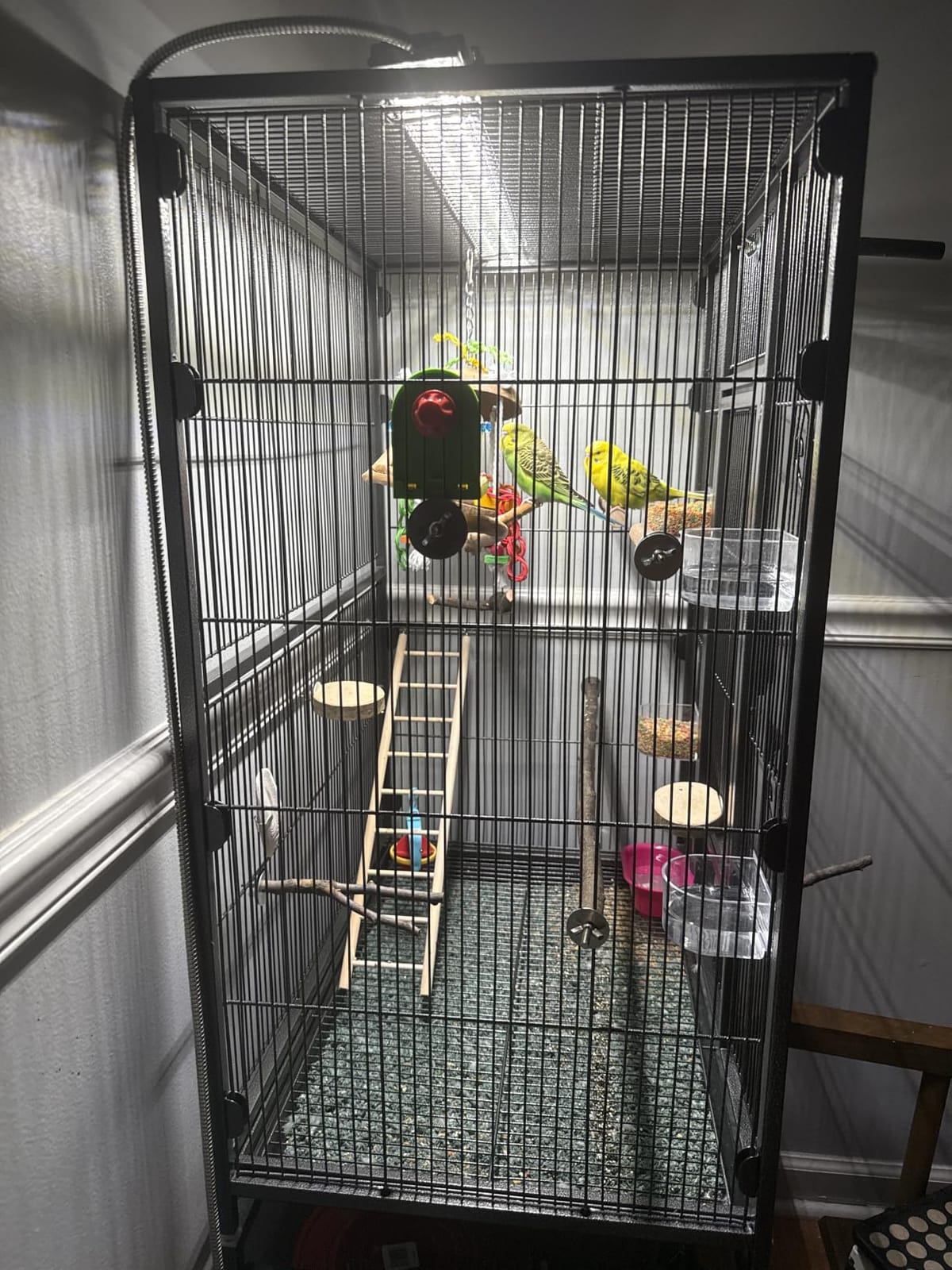 VIVOHOME 54 Inch Wrought Iron Large Bird Flight Cage with Rolling Stand for Parakeets Canaries Cockatiels Lovebirds Conures, Black customer photo 2