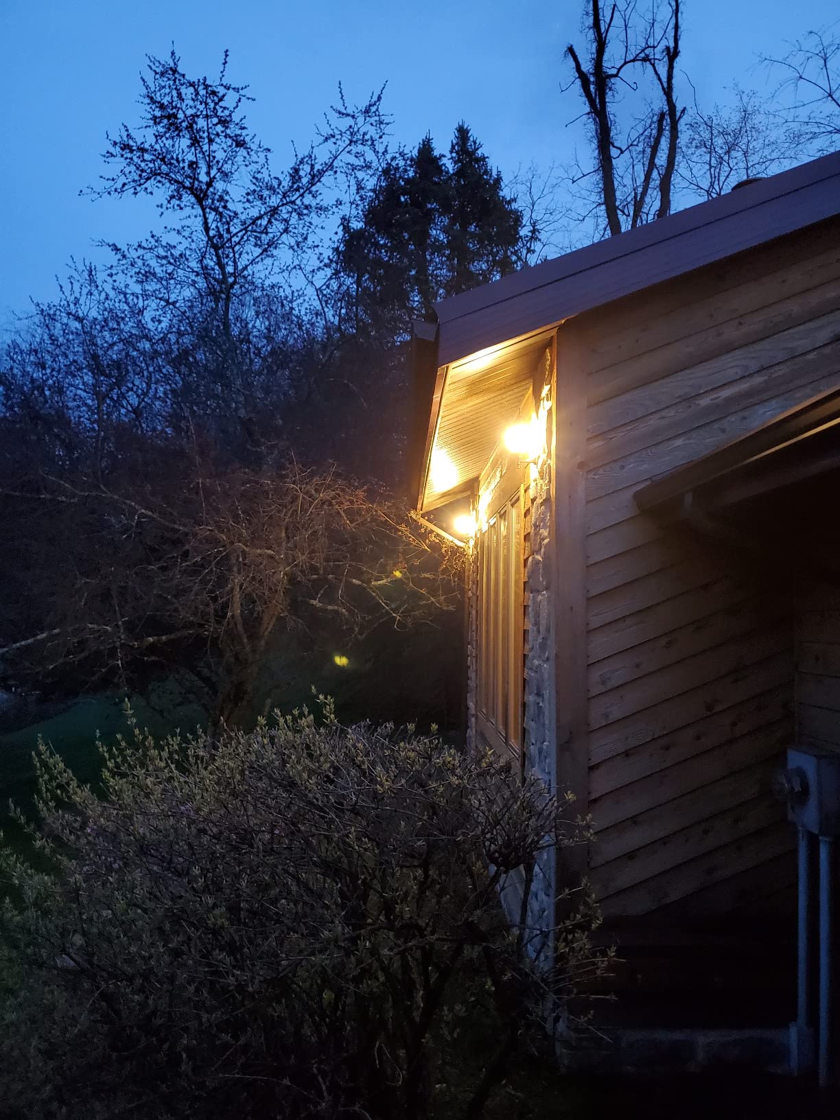 GE LED+ A19 Dusk to Dawn LED Light Bulbs, Automatic On/Off Outdoor Security Light, Soft White (2 Pack) customer photo 1