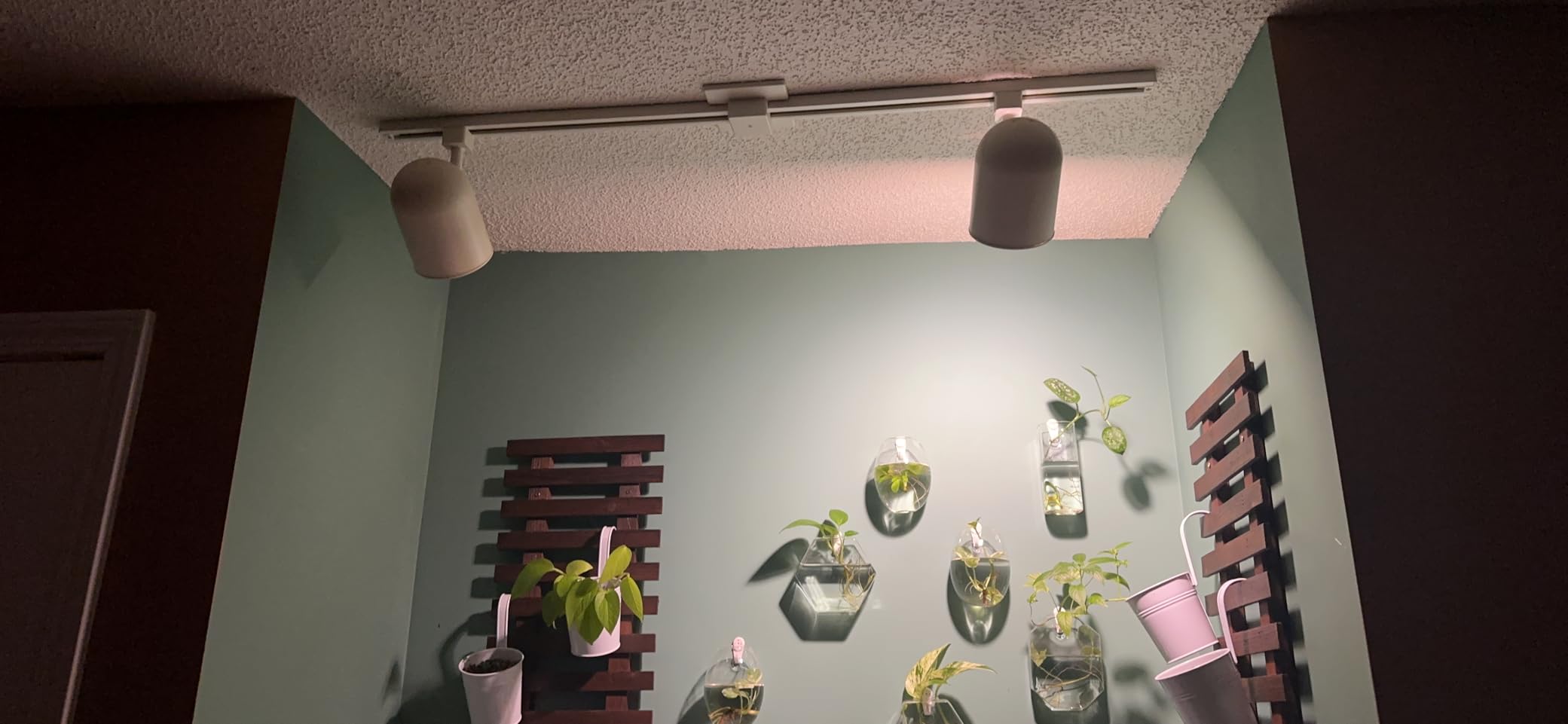 Briignite Grow Light Bulbs, LED Grow Light Bulb A19 Bulb, Full Spectrum customer photo 1