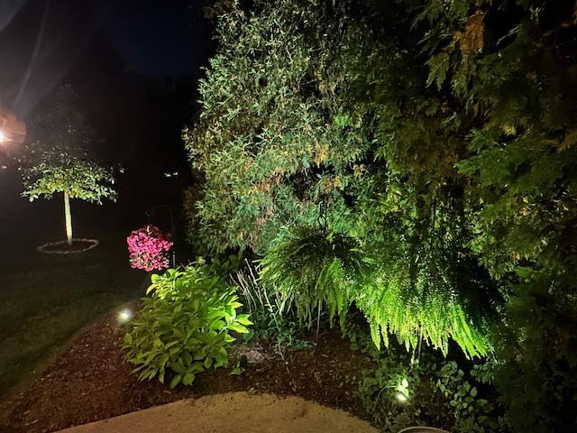 ZUCKEO 10W Low Voltage Landscape Lights LED Landscape Lighting with Connectors, 12V Outdoor Spotlights Yard Garden Pathway Lights, 1000LM Waterproof Warm White Light (14 Pack) customer photo 2