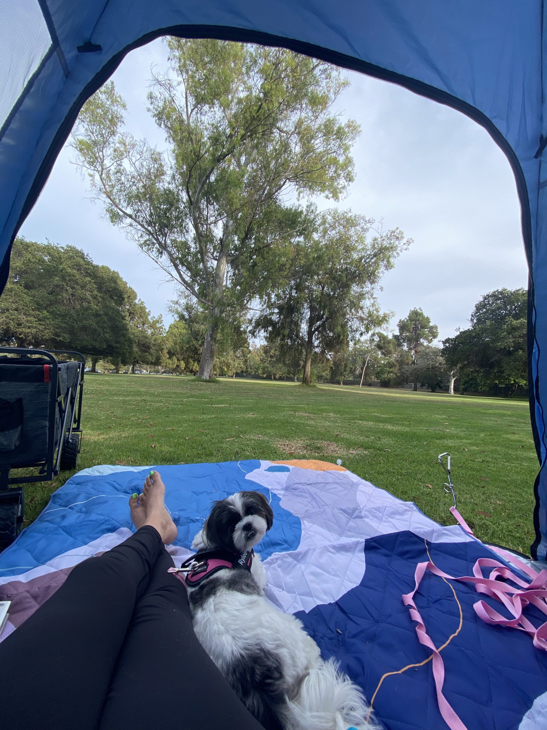 Exclusivo Mezcla Extra Large Waterproof Picnic Blankets 3 Layer, Sandproof and Foldable Outdoor Blanket for Beach Camping, Park and Travel, 60x80 Inch customer photo 2
