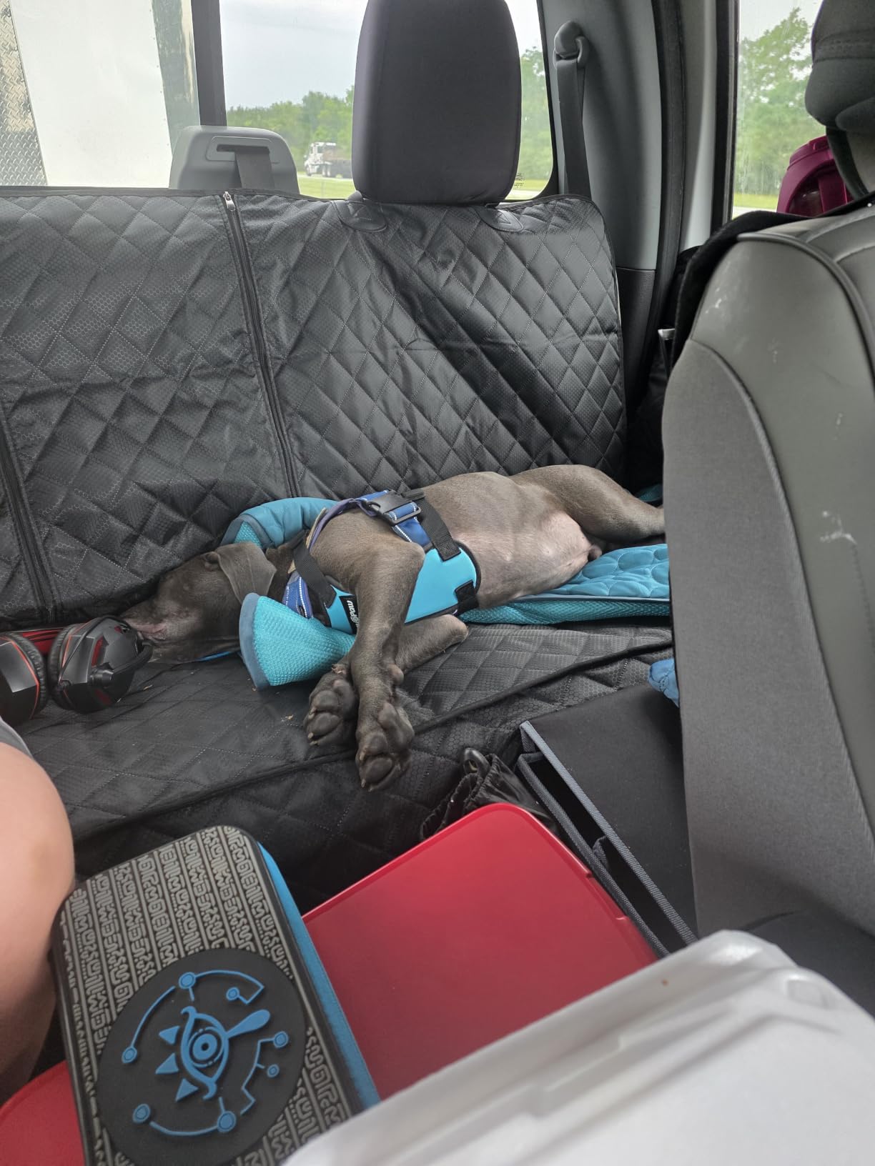 ANOSOSPECIAL Dog Car Seat Cover for Back Seat Cover, Non Stick Fur Rear Seat Protector for Pet, Nonslip Waterproof Durable Universal Fit Interior Backseat Covers for Auto Van SUV customer photo 1